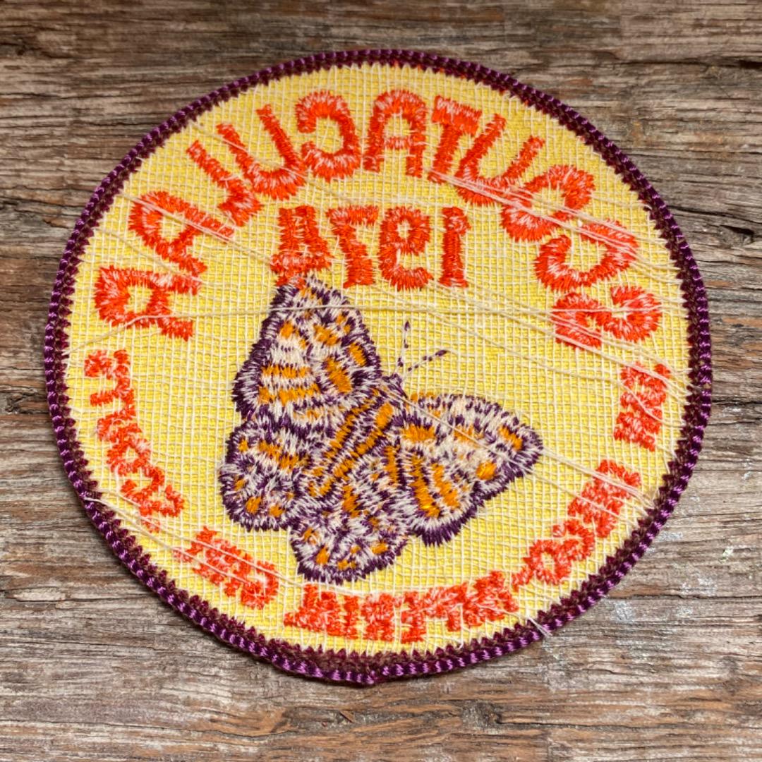 【1974 USA vintage】ワッペン 蝶々 バタフライ