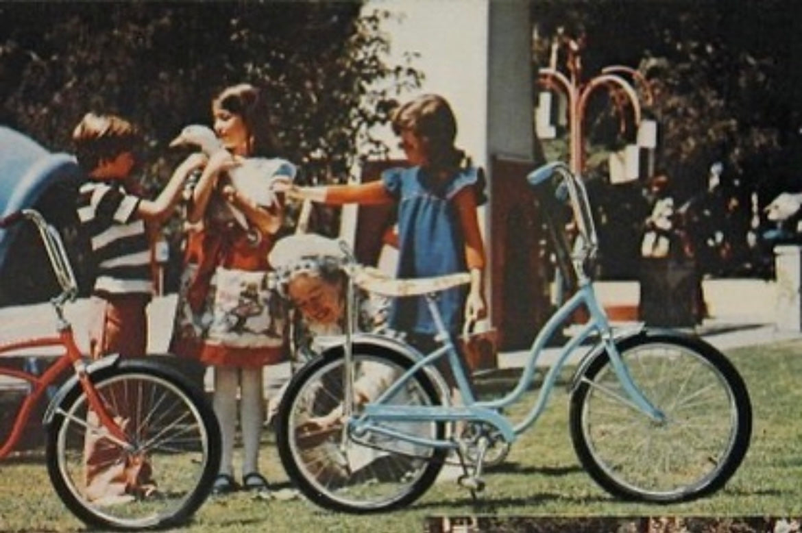 【USA vintage】Schwinn /Lil’Chik ローチャリ