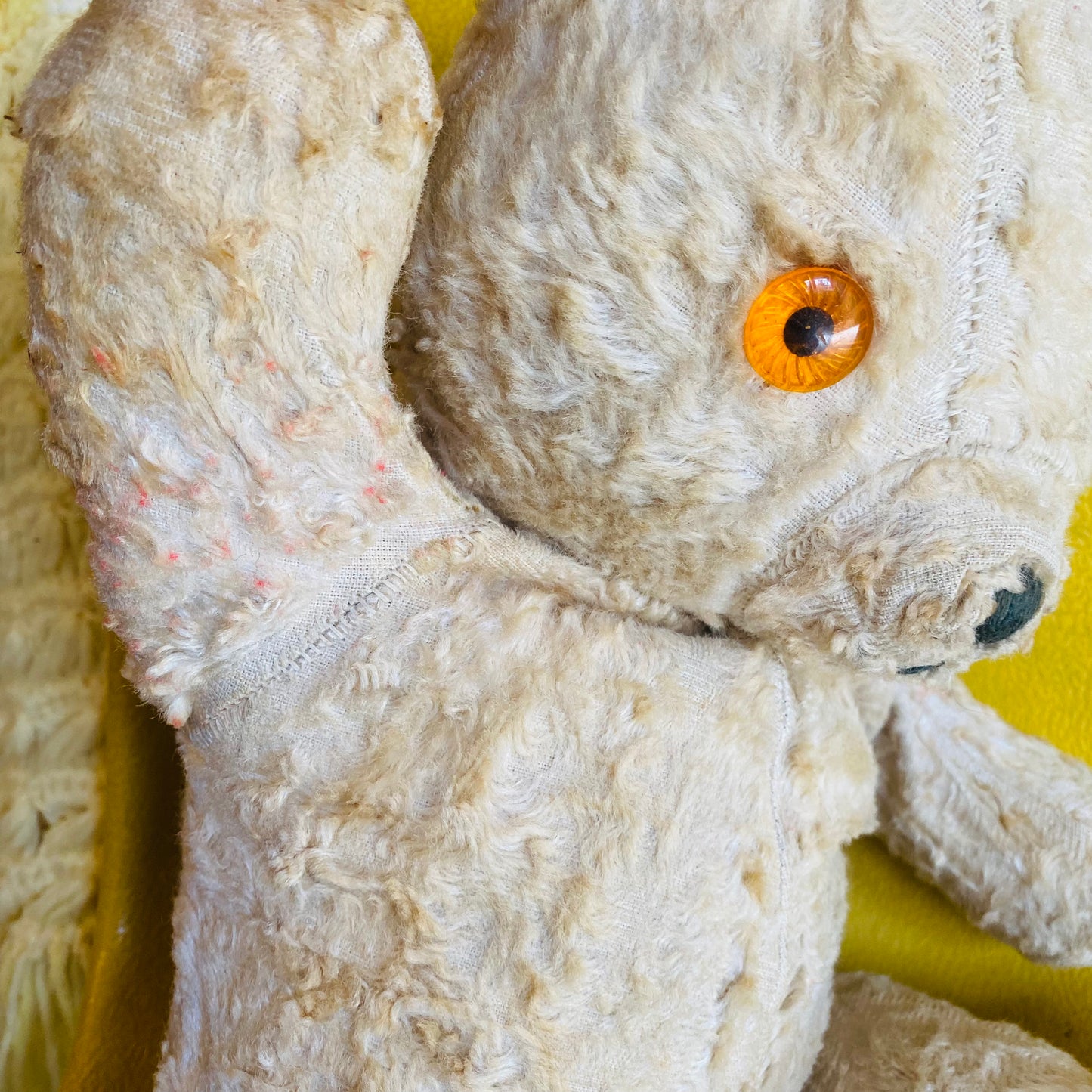 【1950s USA vintage】teddy bear テディベア くま