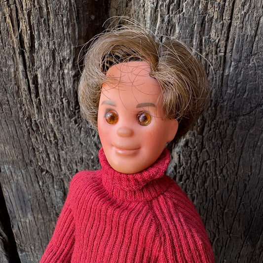 【1970s USA vintage】MATTEL The Sunshine Family Dad Doll