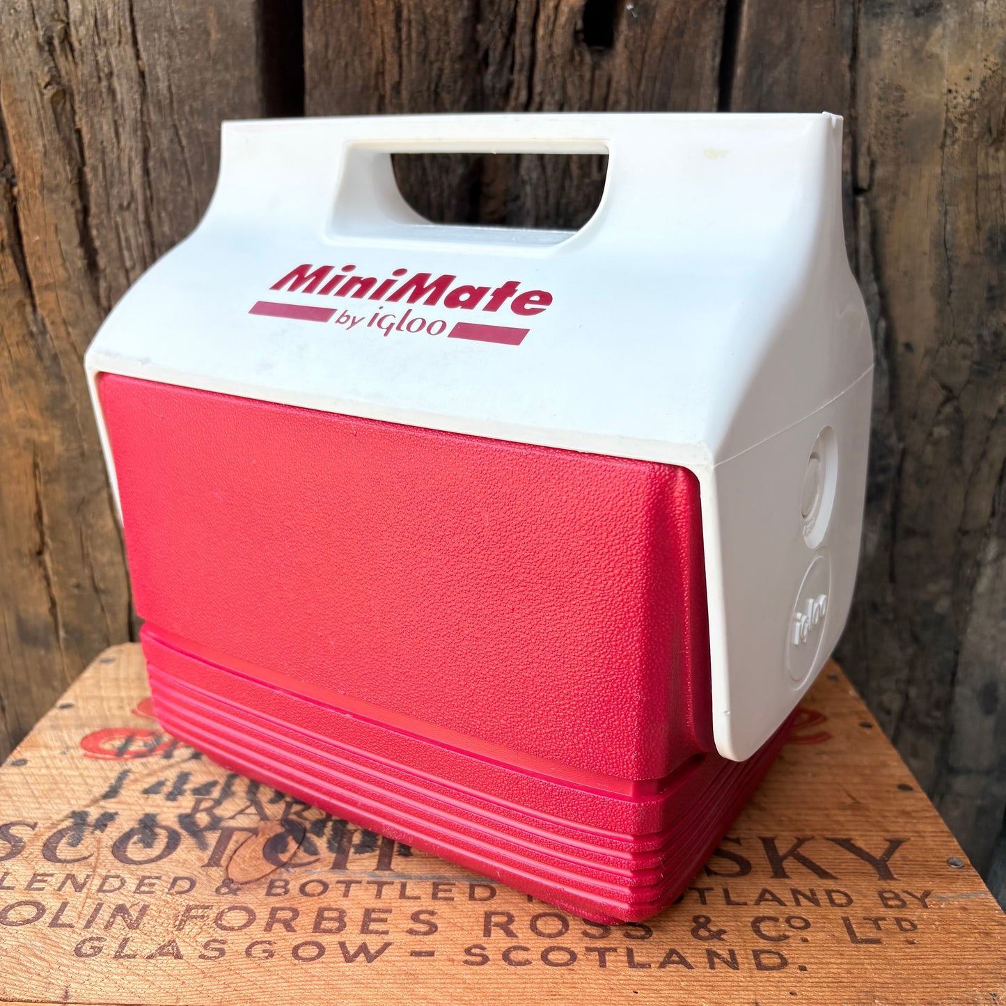 【USA vintage】Igloo Mini Mate Cooler