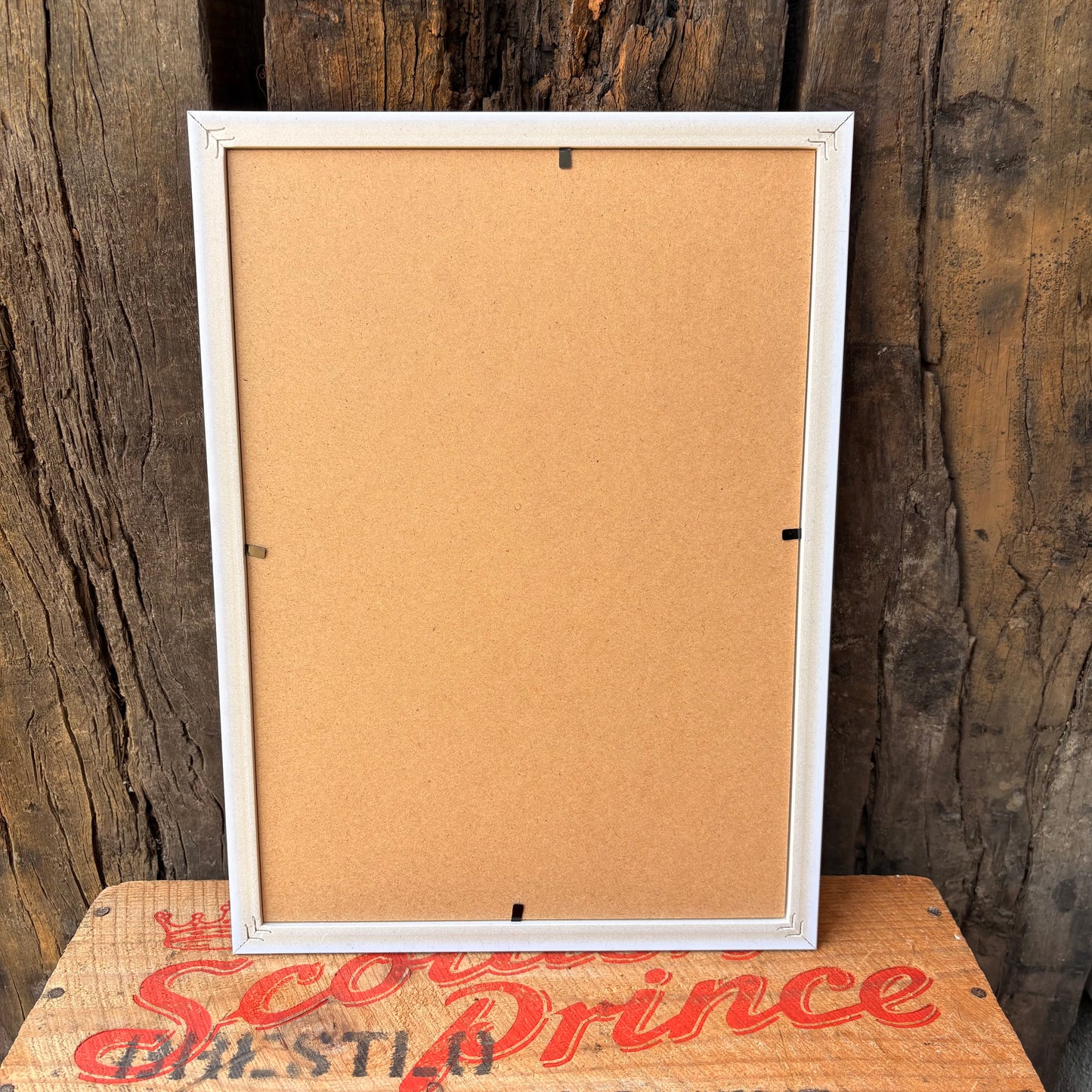 【1945 USA Vintage】 PHOTOGRAPHY Magazine Framed Ads KING SOL