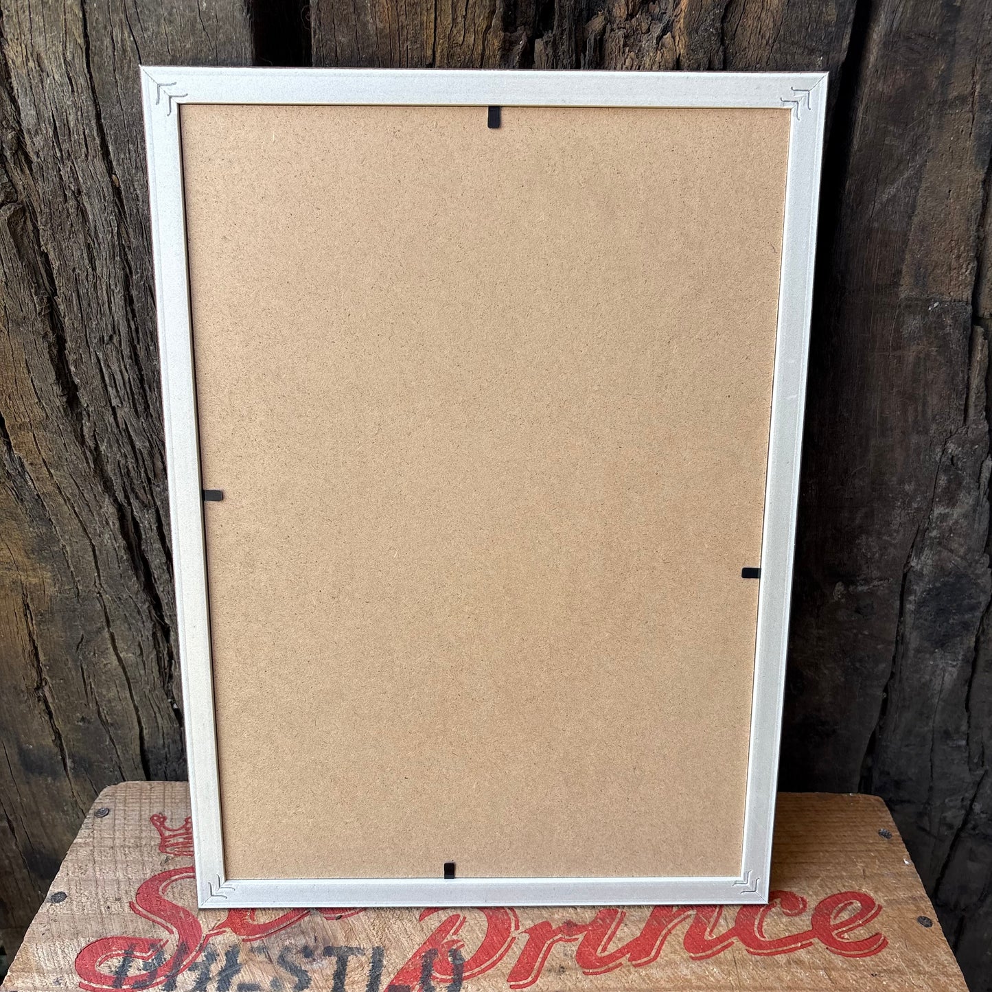 【1945 USA Vintage】 PHOTOGRAPHY  Magazine Framed Ads