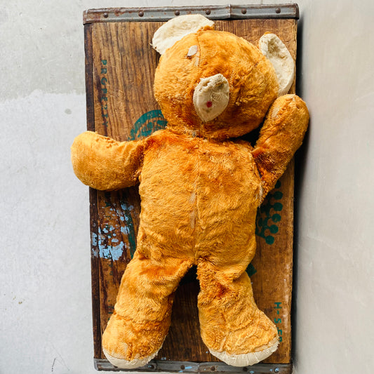 【USA vintage】teddy bear