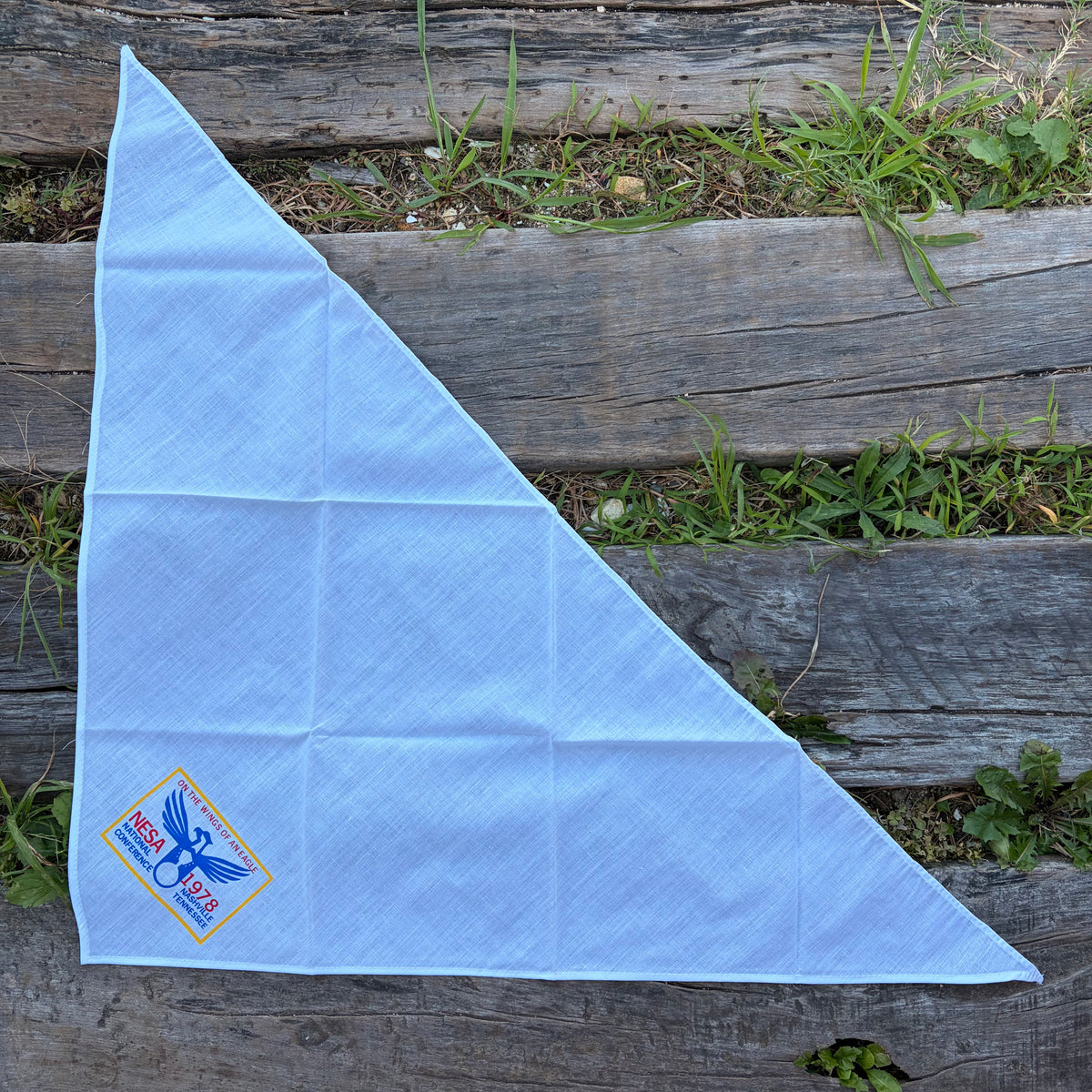 【1970s USA vintage】NESA 1978 NATIONAL CONFERENCE Neckerchief