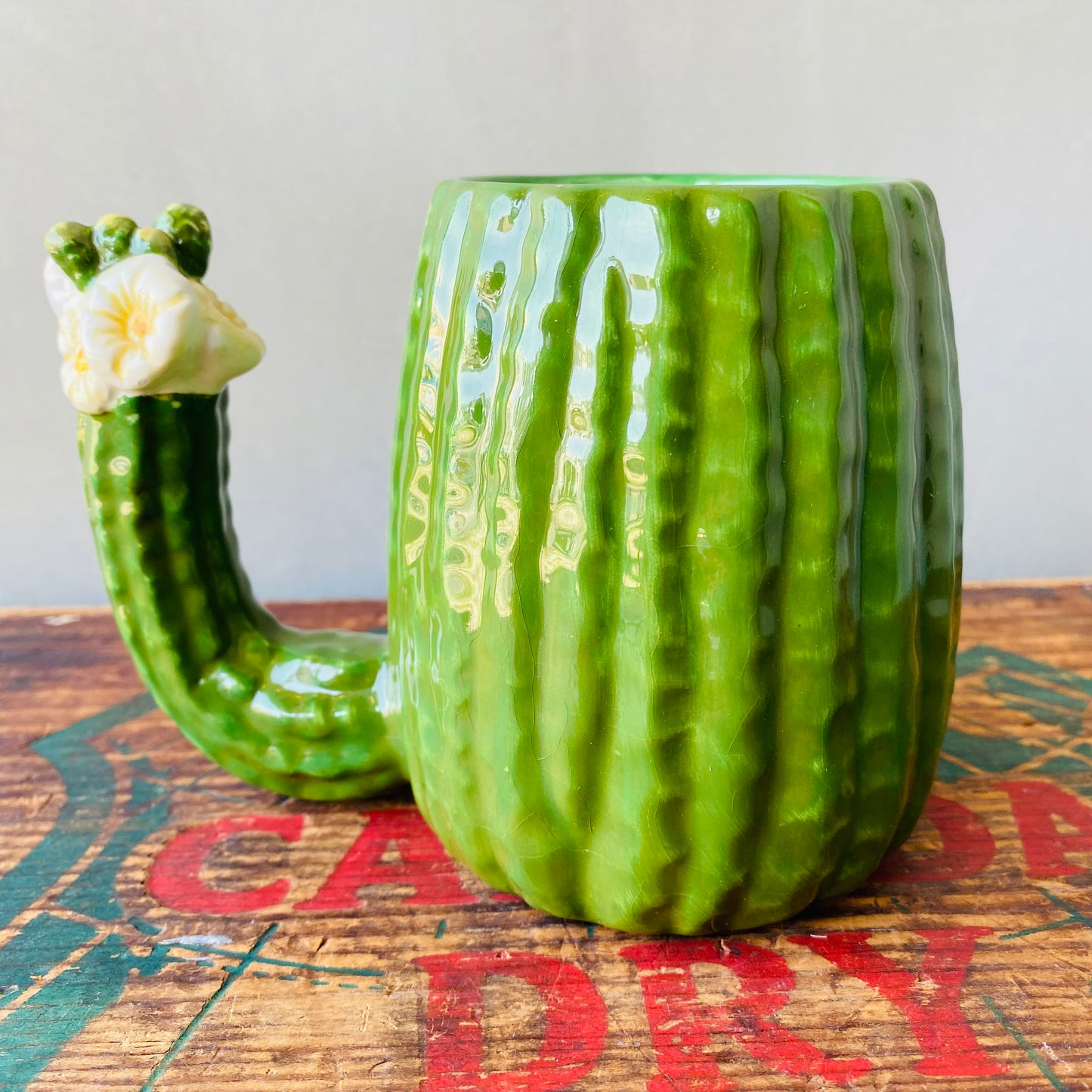 【USA】GAHAM cactus mug