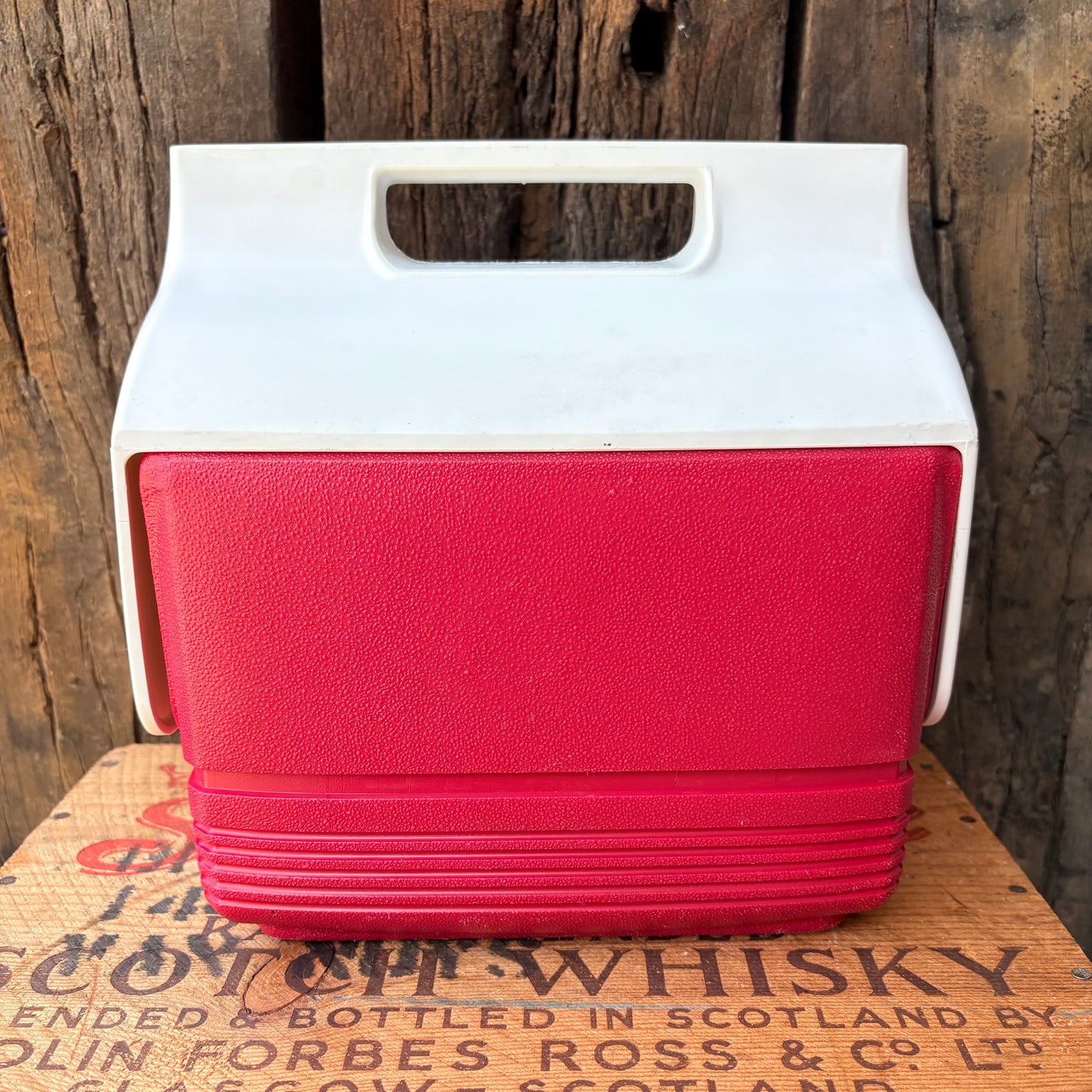 【USA vintage】Igloo Mini Mate Cooler