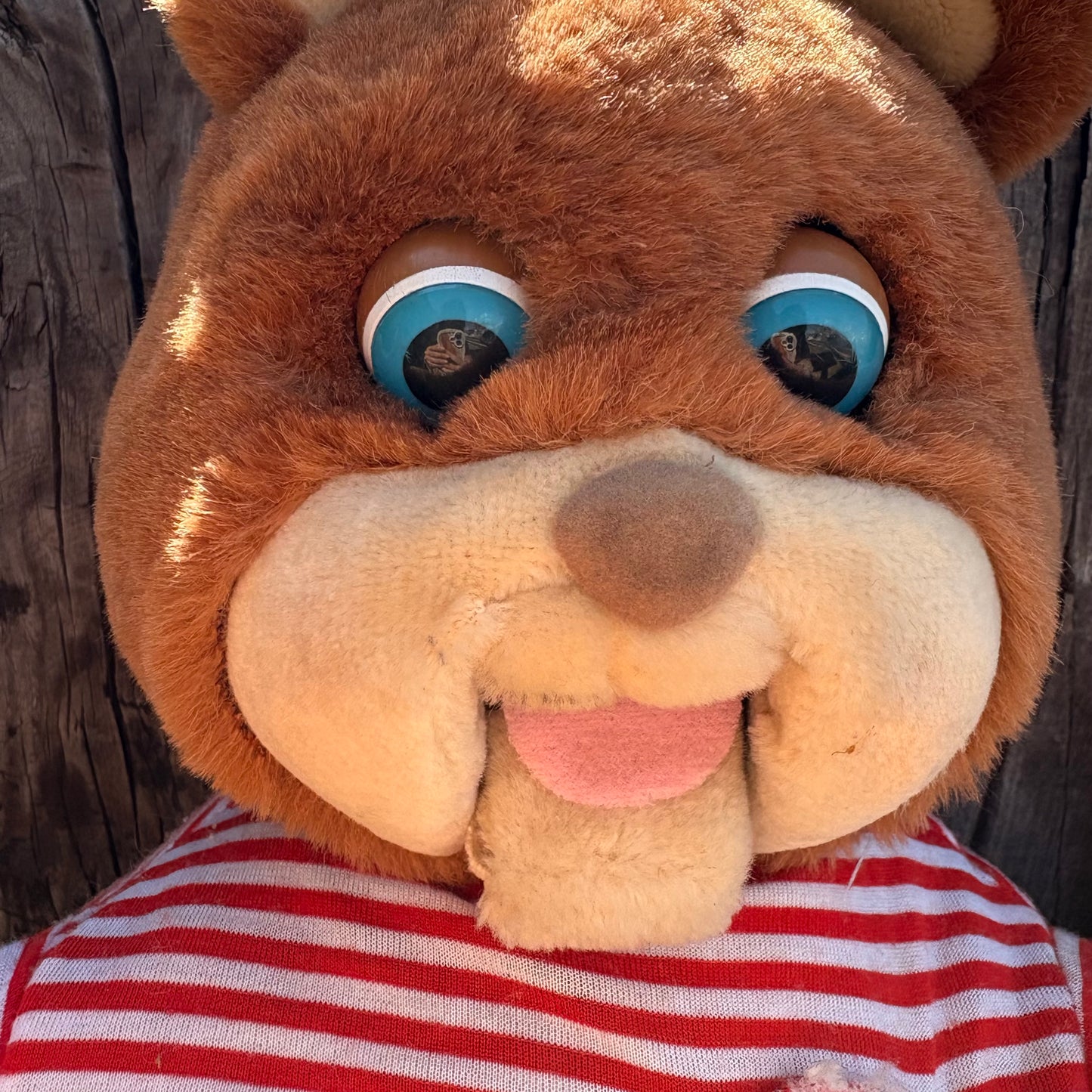【1985 USA vintage】L'ours Gabby talking bear