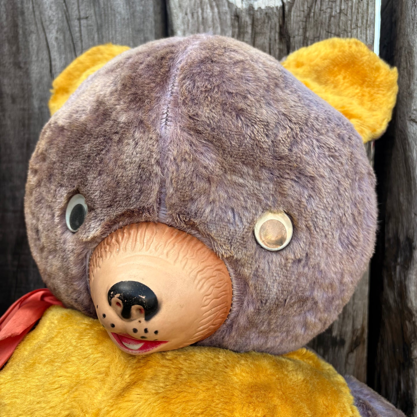 【1950s USA Vintage】 rubber face teddy bear