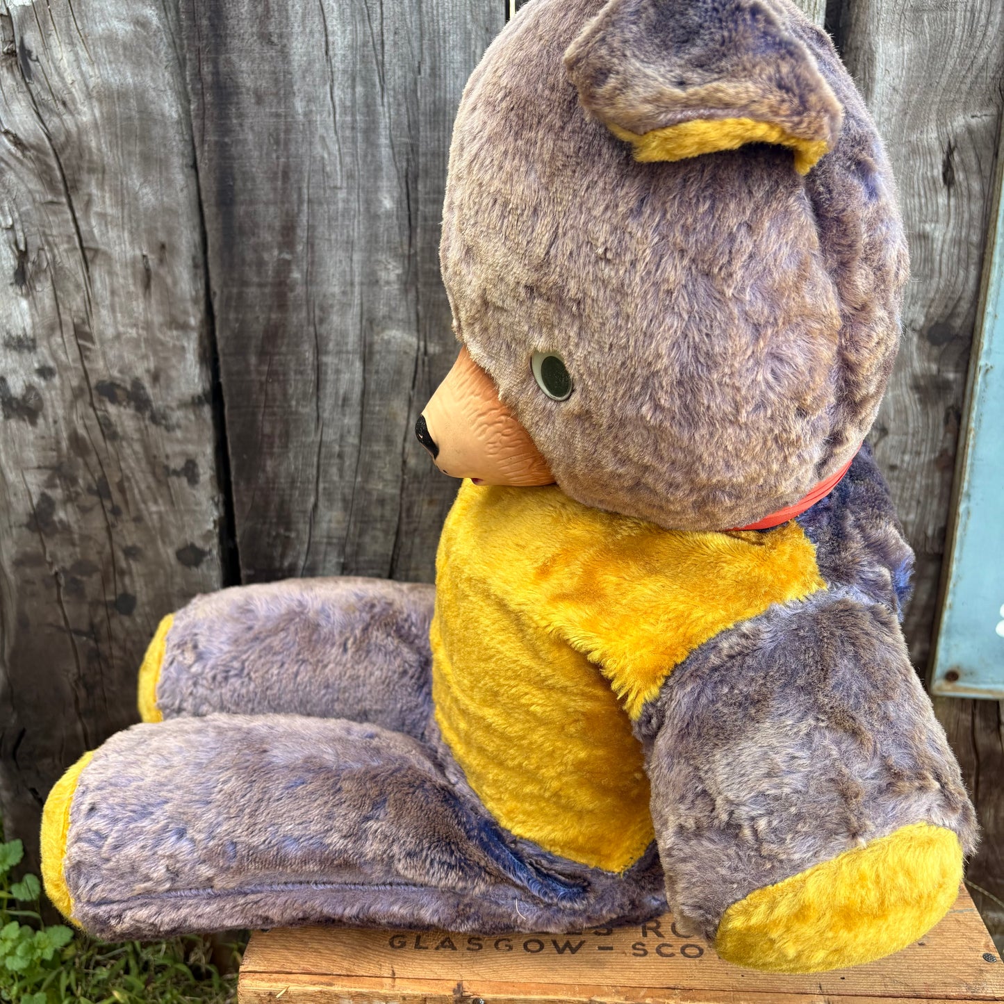 【1950s USA Vintage】 rubber face teddy bear