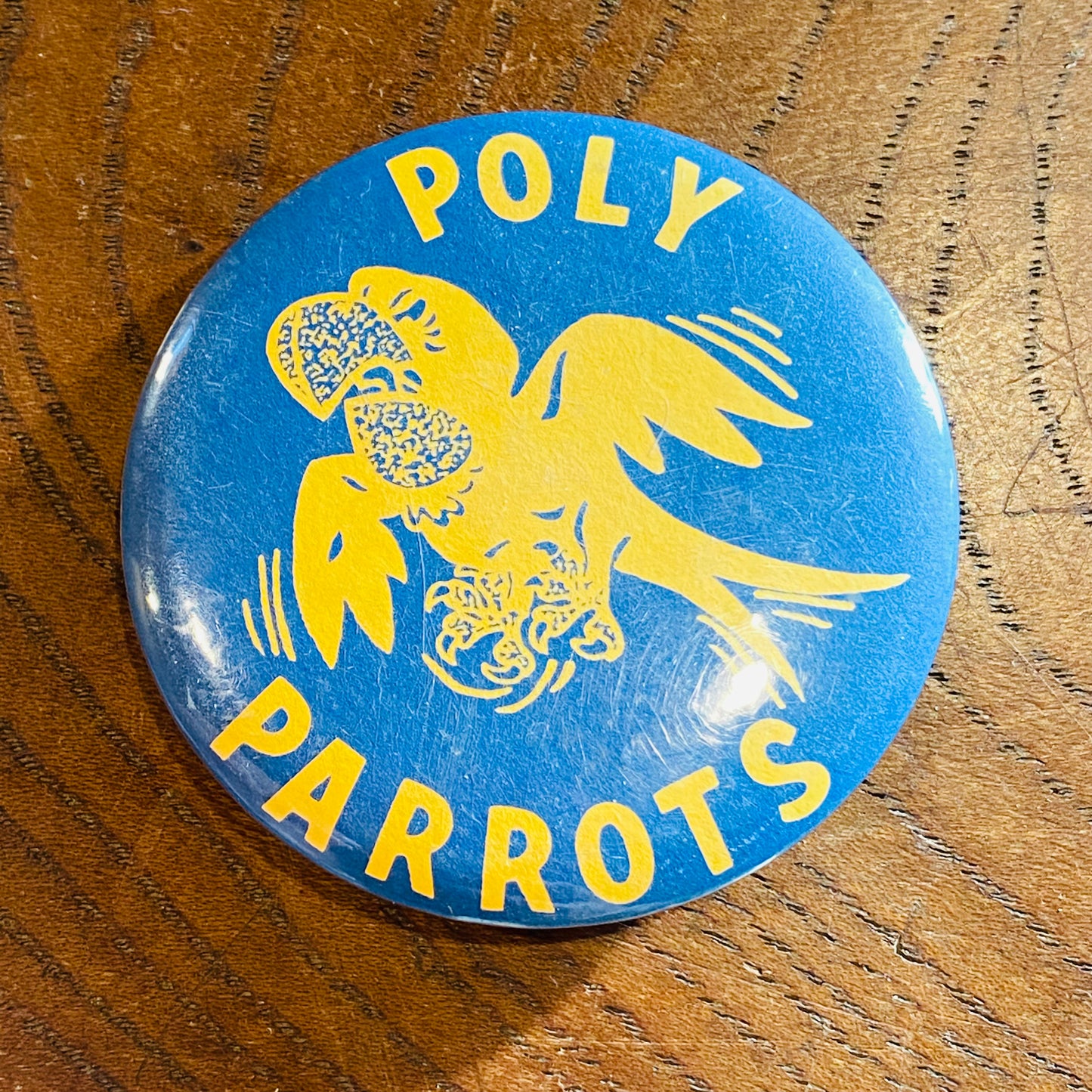 【USA vintage】缶バッジ POLY PARROTS