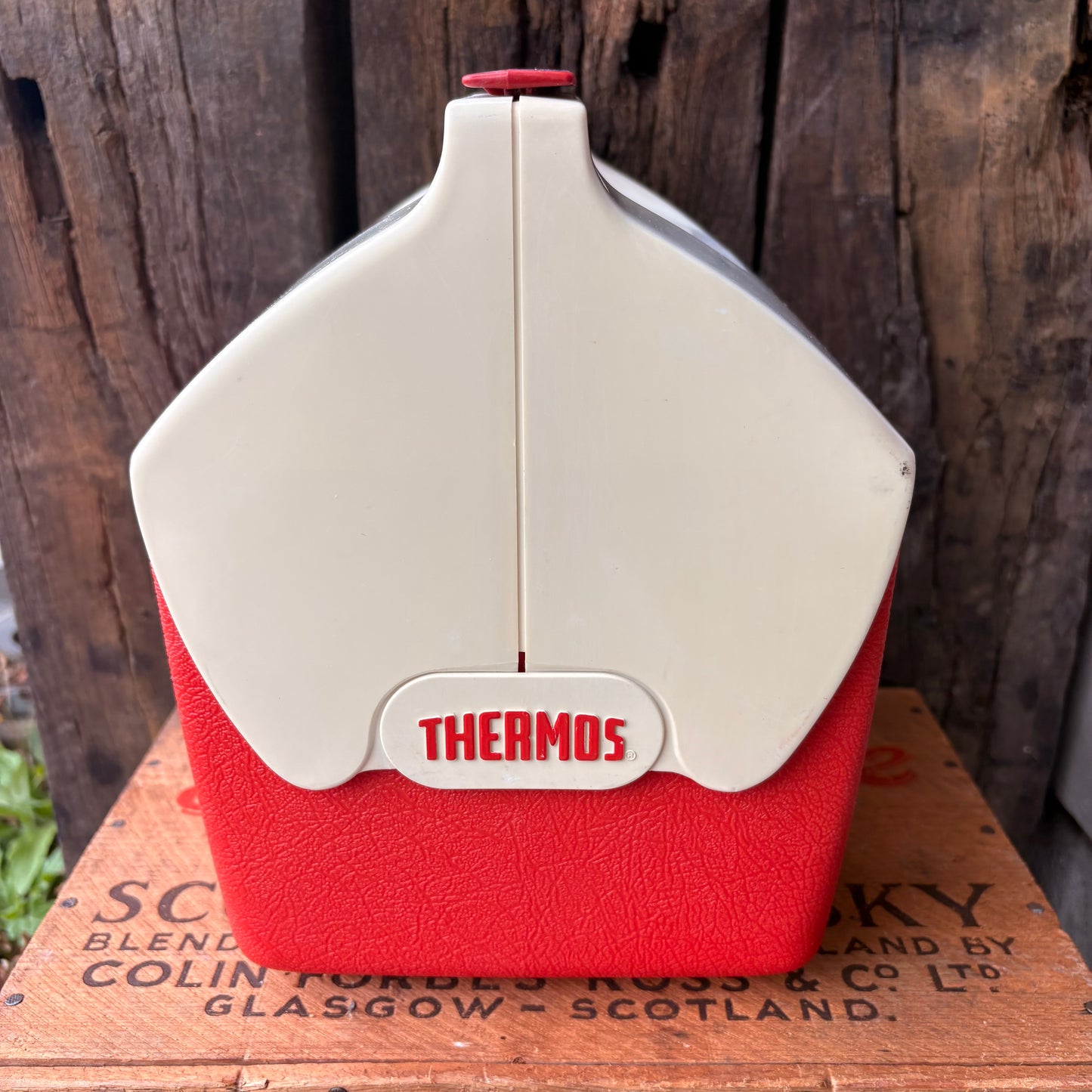 【1970s USA vintage】THERMOS “COOLDATE” Model 7707 Cooler Box