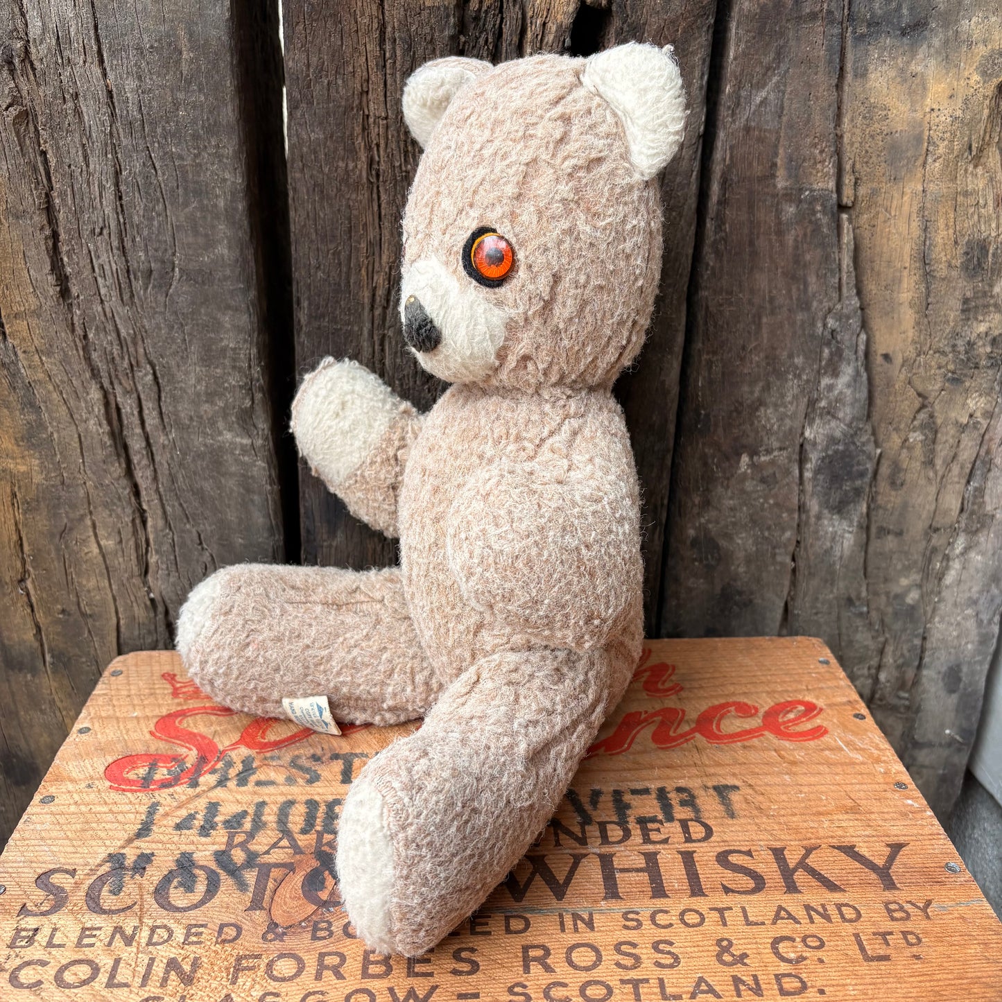 【1970s USA vintage】ANIMAL FAIR Teddy Bear