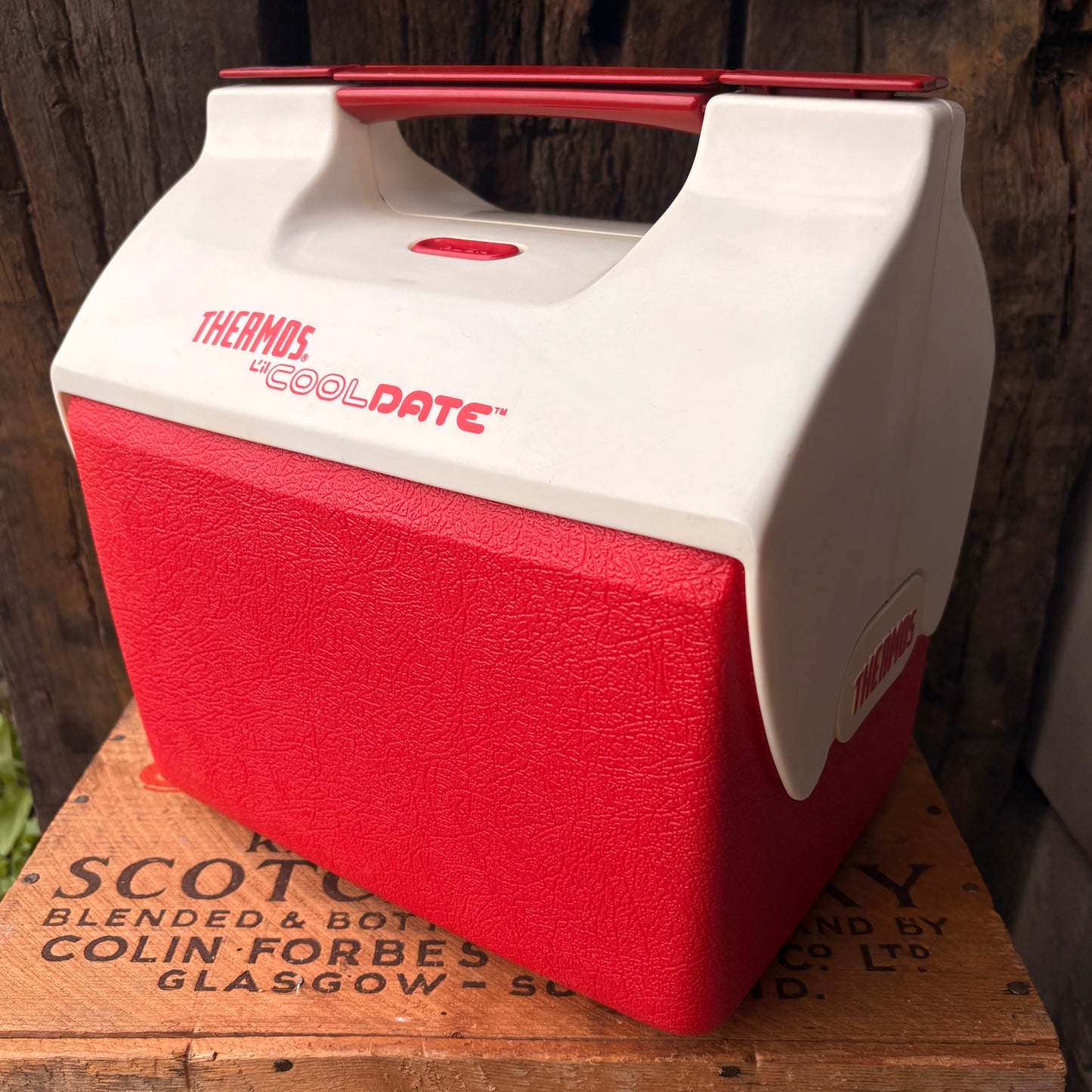 【1970s USA vintage】THERMOS “COOLDATE” Model 7707 Cooler Box