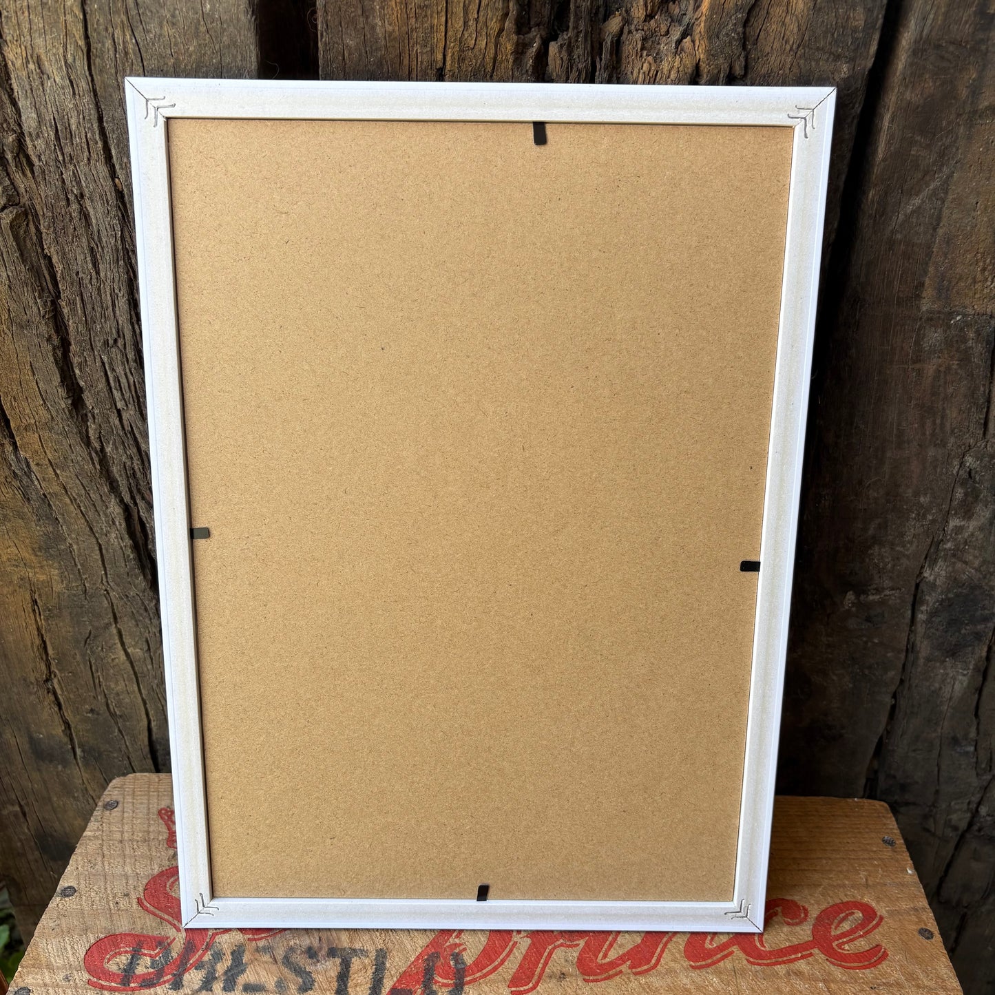 【1945 USA Vintage】 PHOTOGRAPHY  Magazine Framed Ads