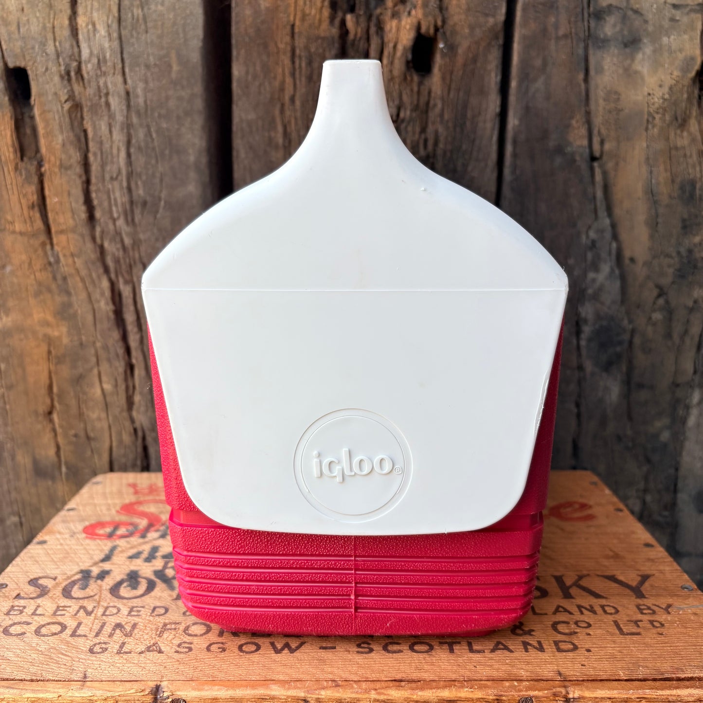 【USA vintage】Igloo Mini Mate Cooler