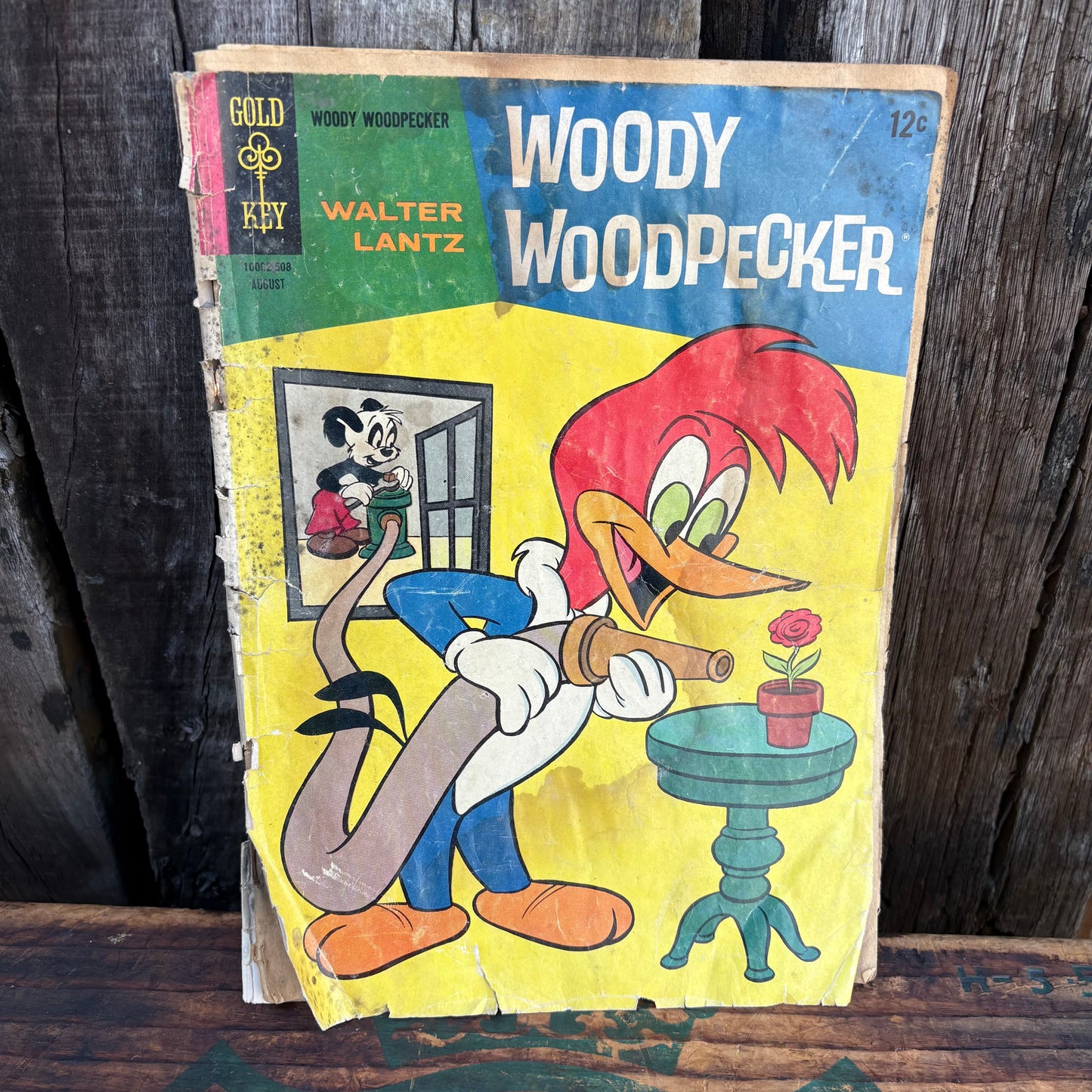 【1965 USA vintage】American comic WOODY WOODPECKER