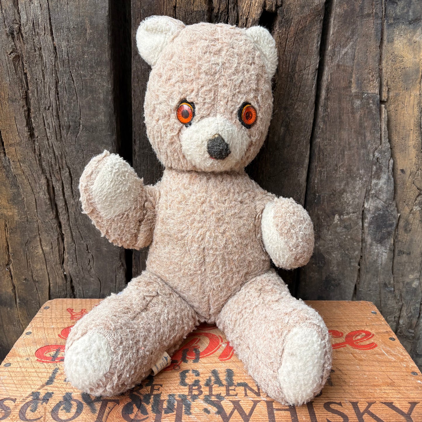 【1970s USA vintage】ANIMAL FAIR Teddy Bear