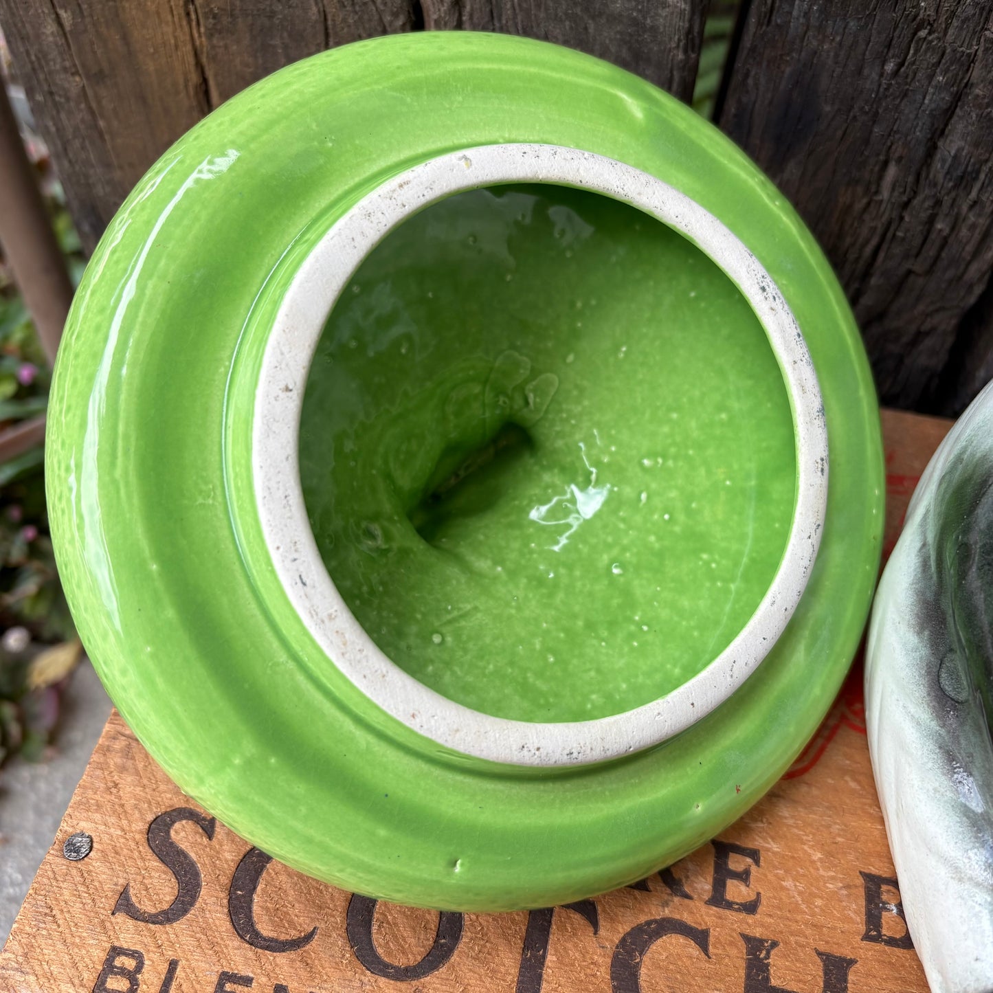 【1960s JAPAN vintage】Ceramic Cookie Jar panda