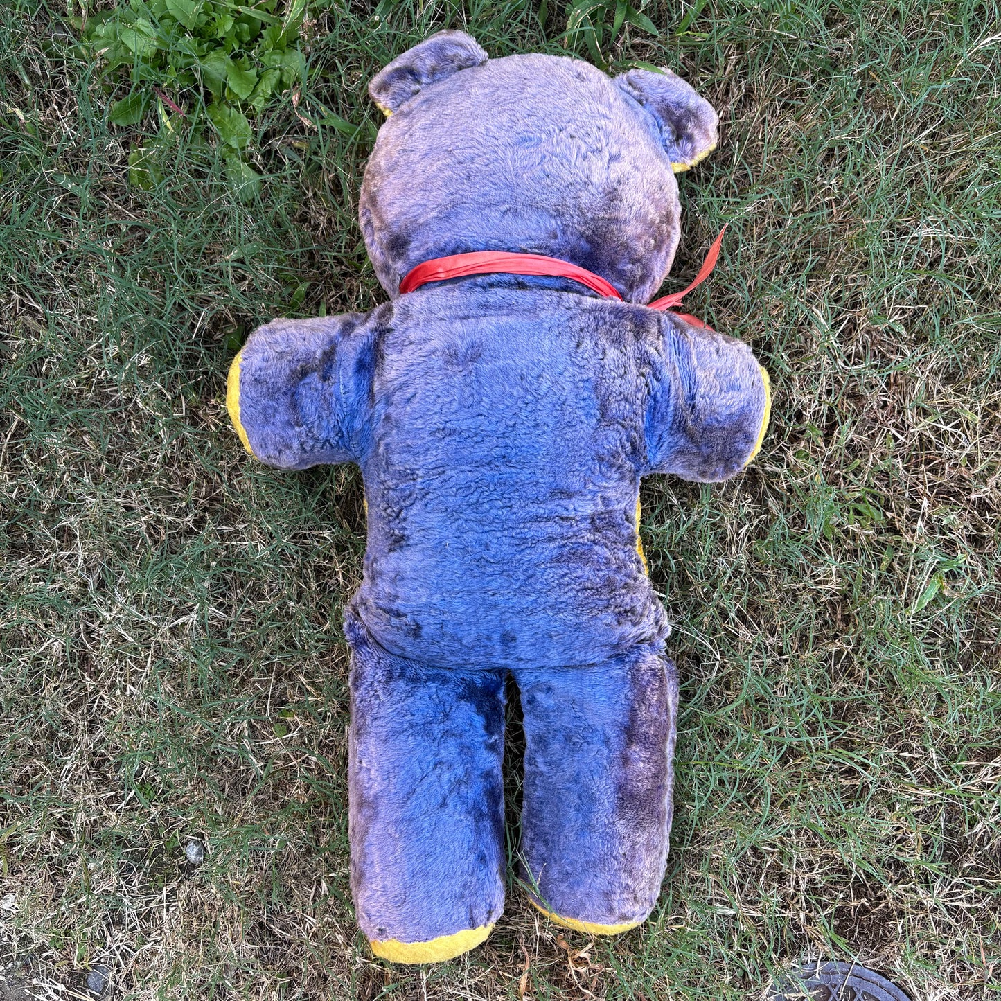 【1950s USA Vintage】 rubber face teddy bear