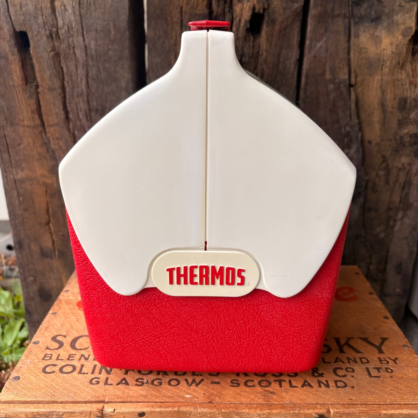 【1970s USA vintage】THERMOS “COOLDATE” Model 7707 Cooler Box