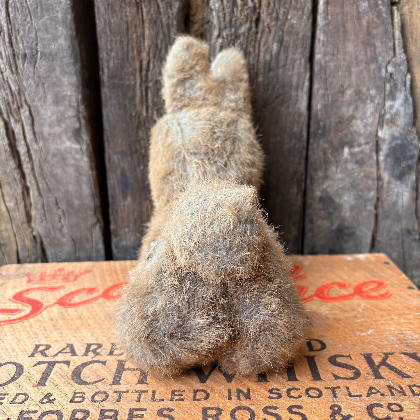 【1960-70s USA vintage】Rabbit Music Box Plush