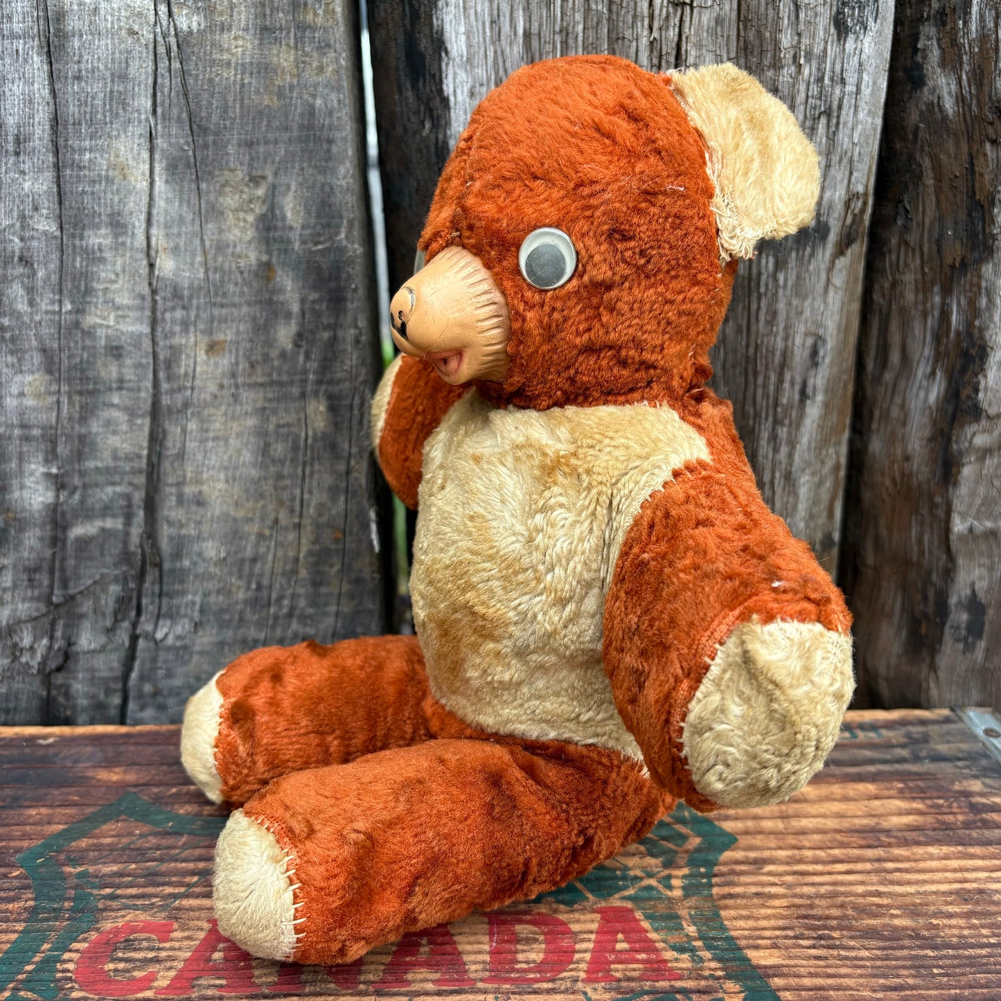 【1950s USA vintage】 teddy bear