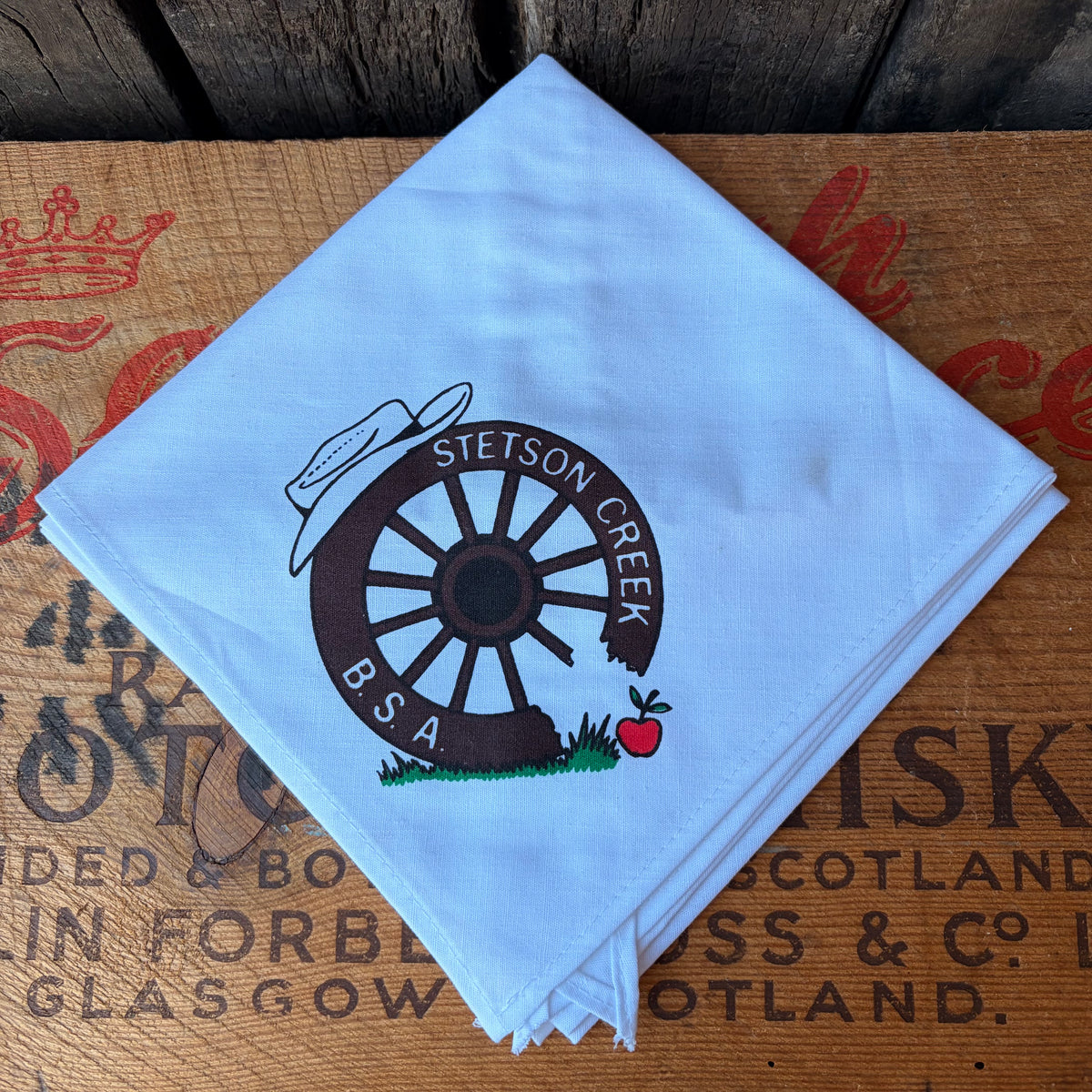 【1970s USA vintage】STETSON CREEK B.S.A. Neckerchief