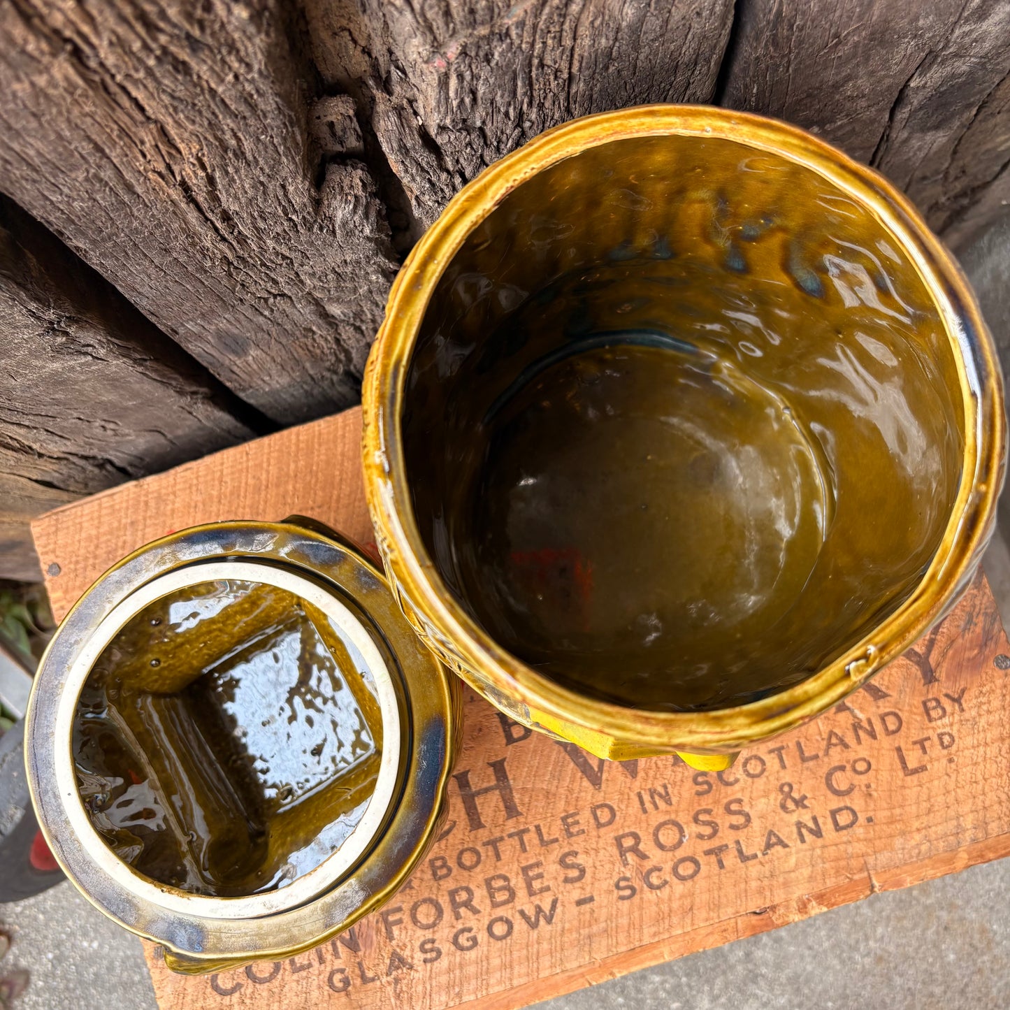 【1970s JAPAN vintage】Green Owl Cookie Jar