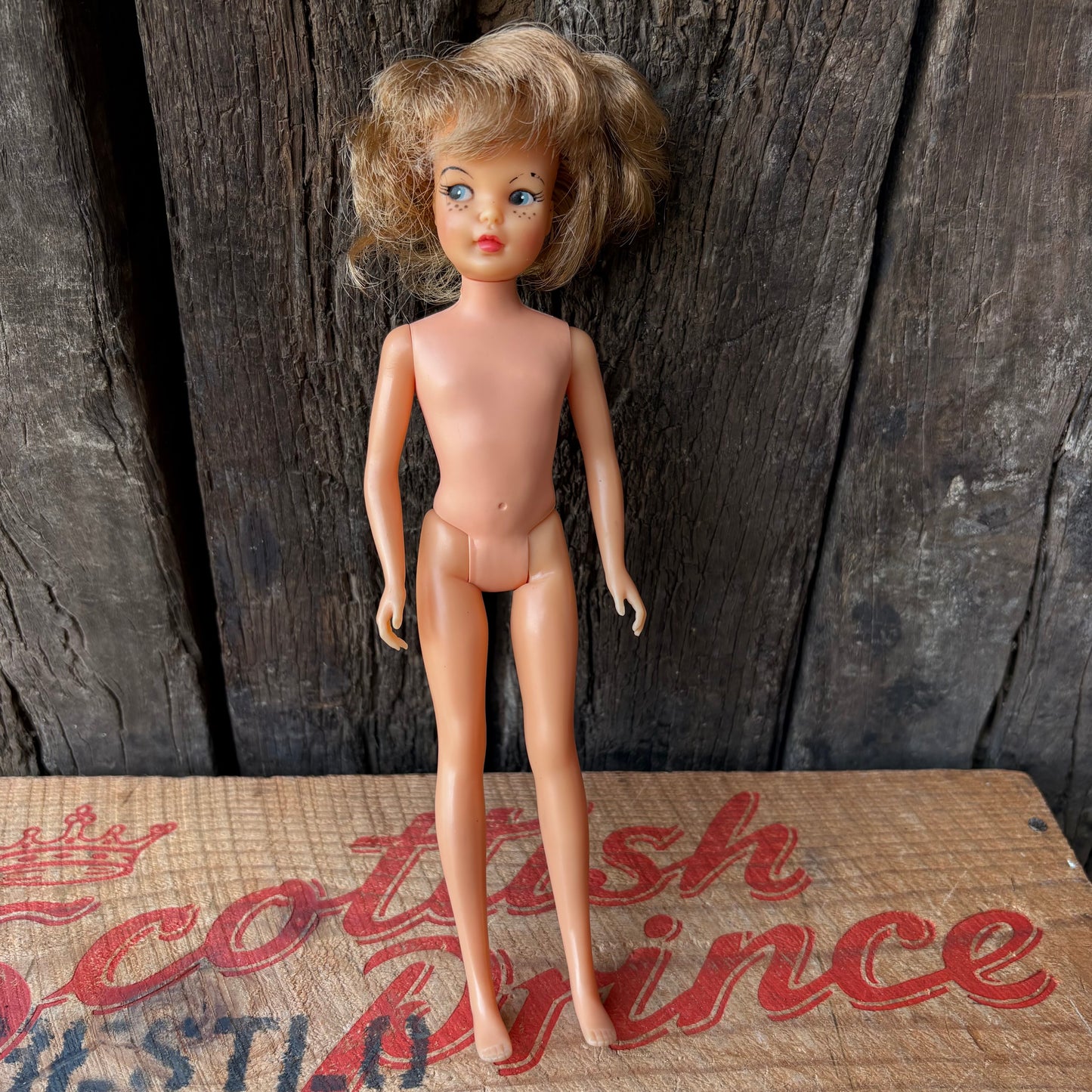 【1960s USA vintage】IDEAL Tammy Family “Pepper” Doll