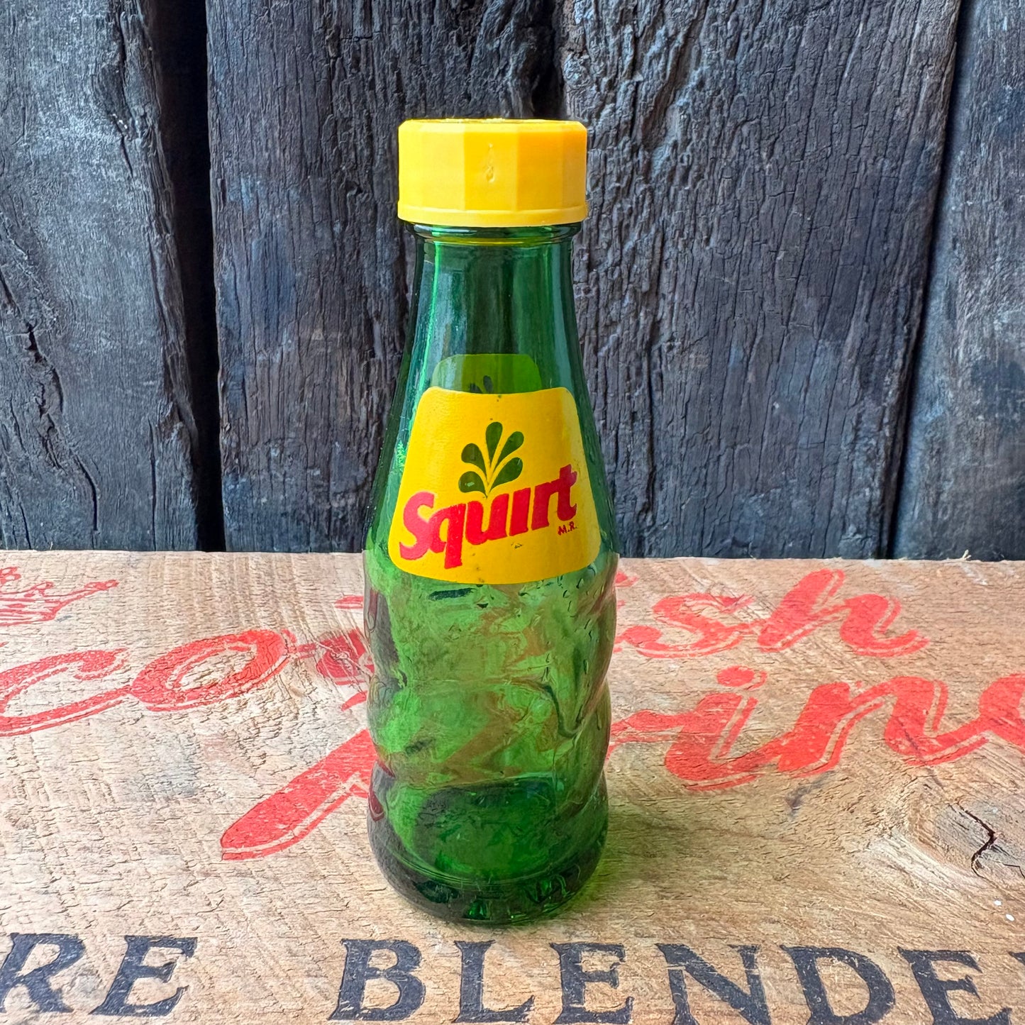 【1980s vintage】Squirt Salt & Pepper Shakers