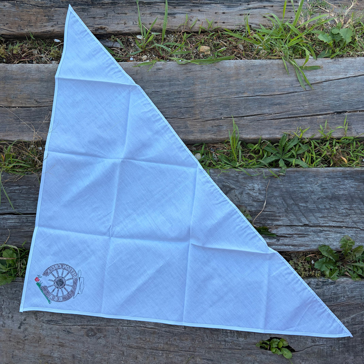 【1970s USA vintage】STETSON CREEK B.S.A. Neckerchief