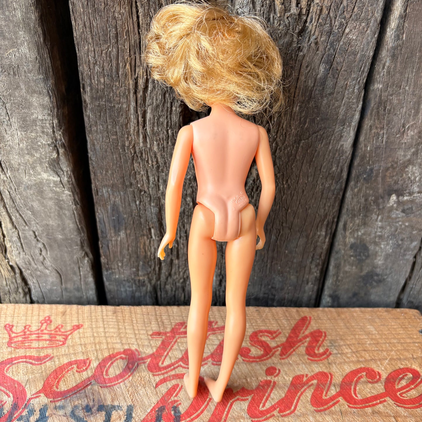 【1960s USA vintage】IDEAL Tammy Family “Pepper” Doll