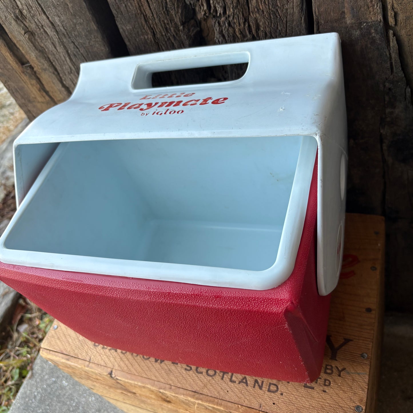 【1980s USA vintage】IGLOO Little Playmate Cooler Box