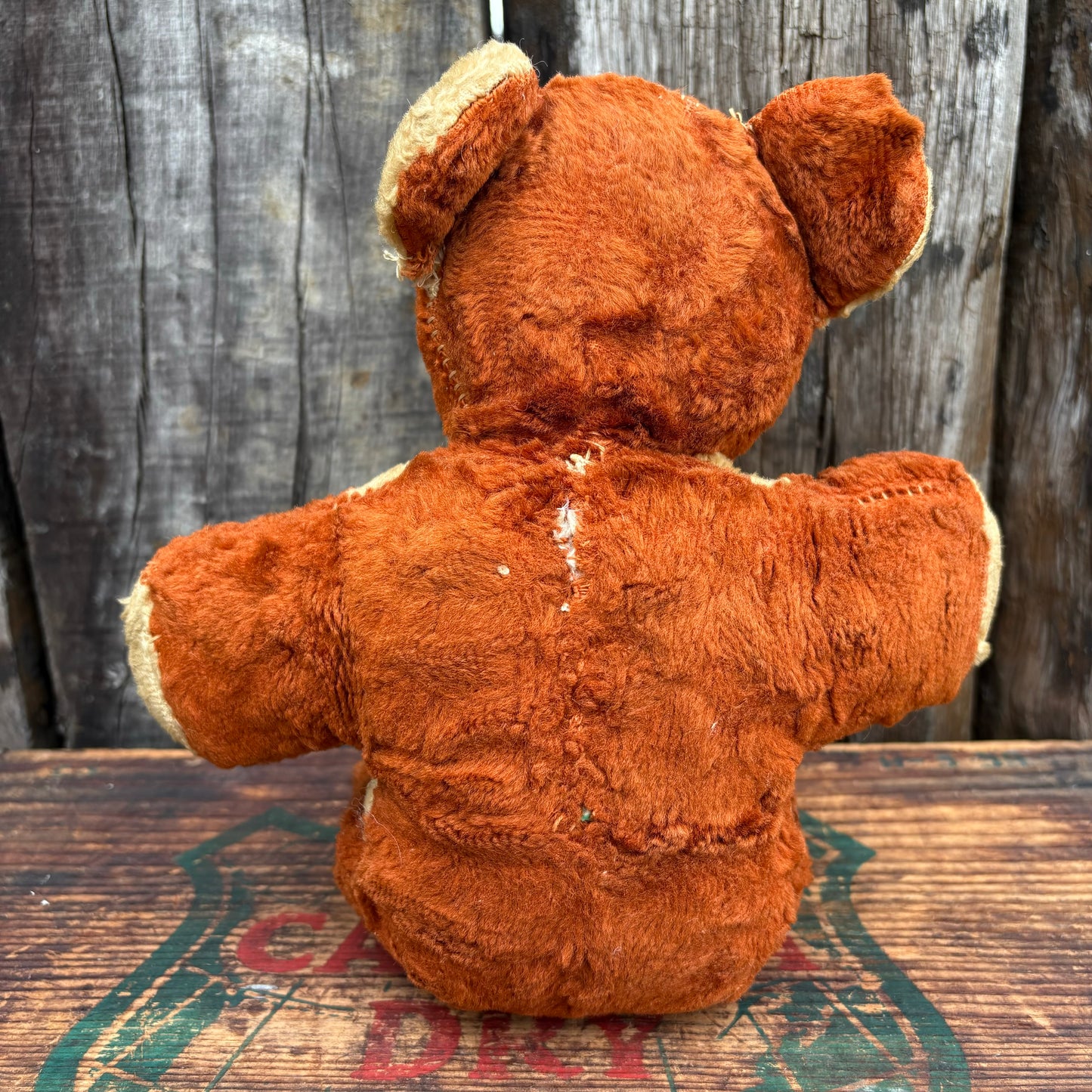 【1950s USA vintage】 teddy bear