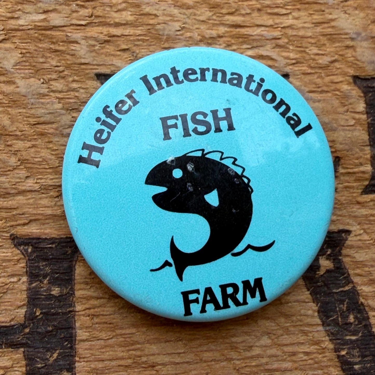 【USA vintage】Heifer International 缶バッジ
