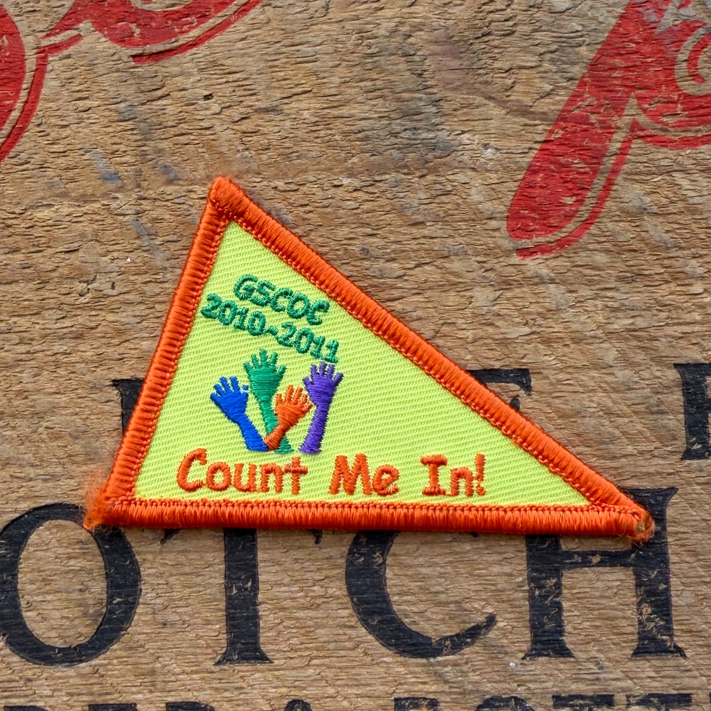 【USA vintage】Girl Scout Count me in ! Patch