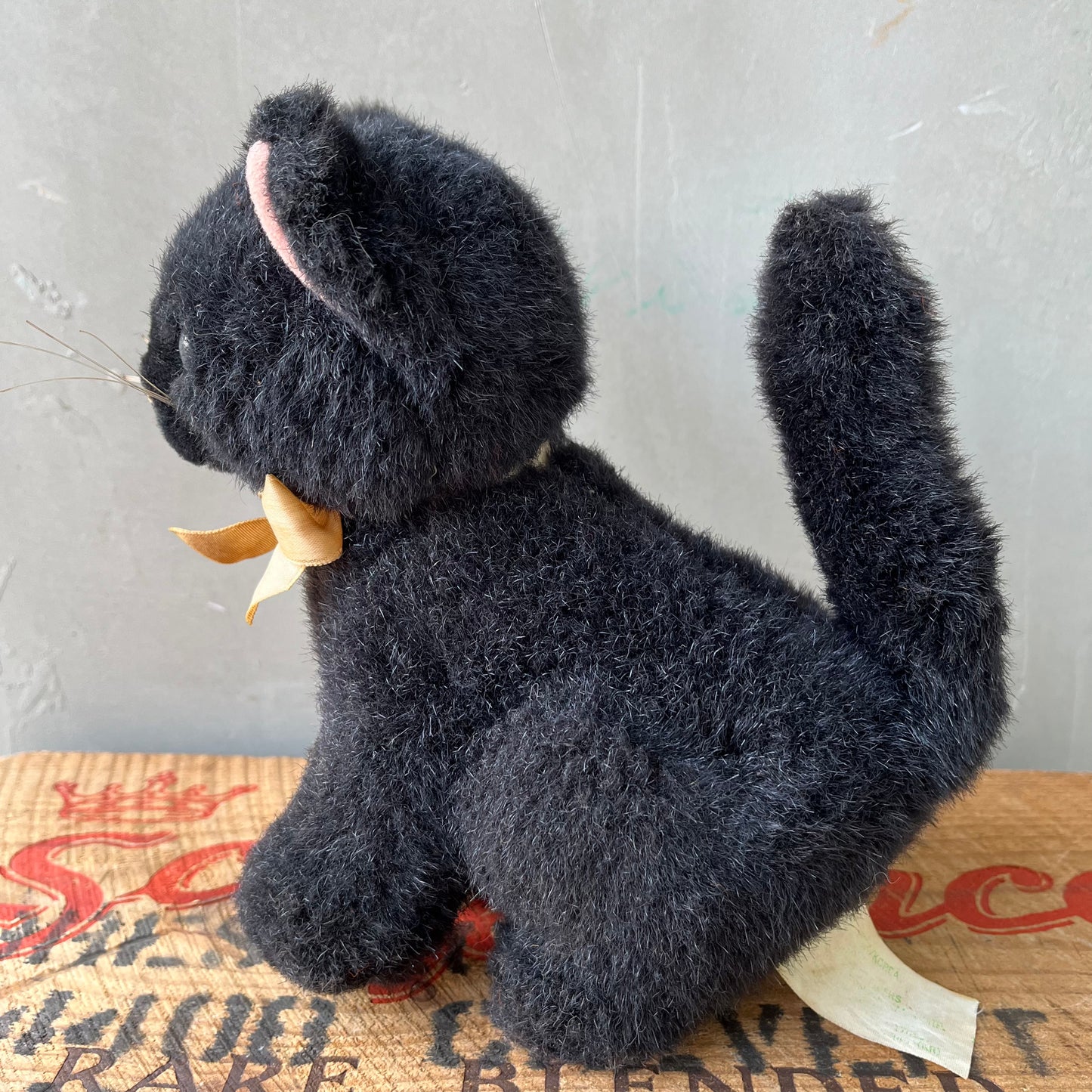 【USA vintage】Black Kitten Plash