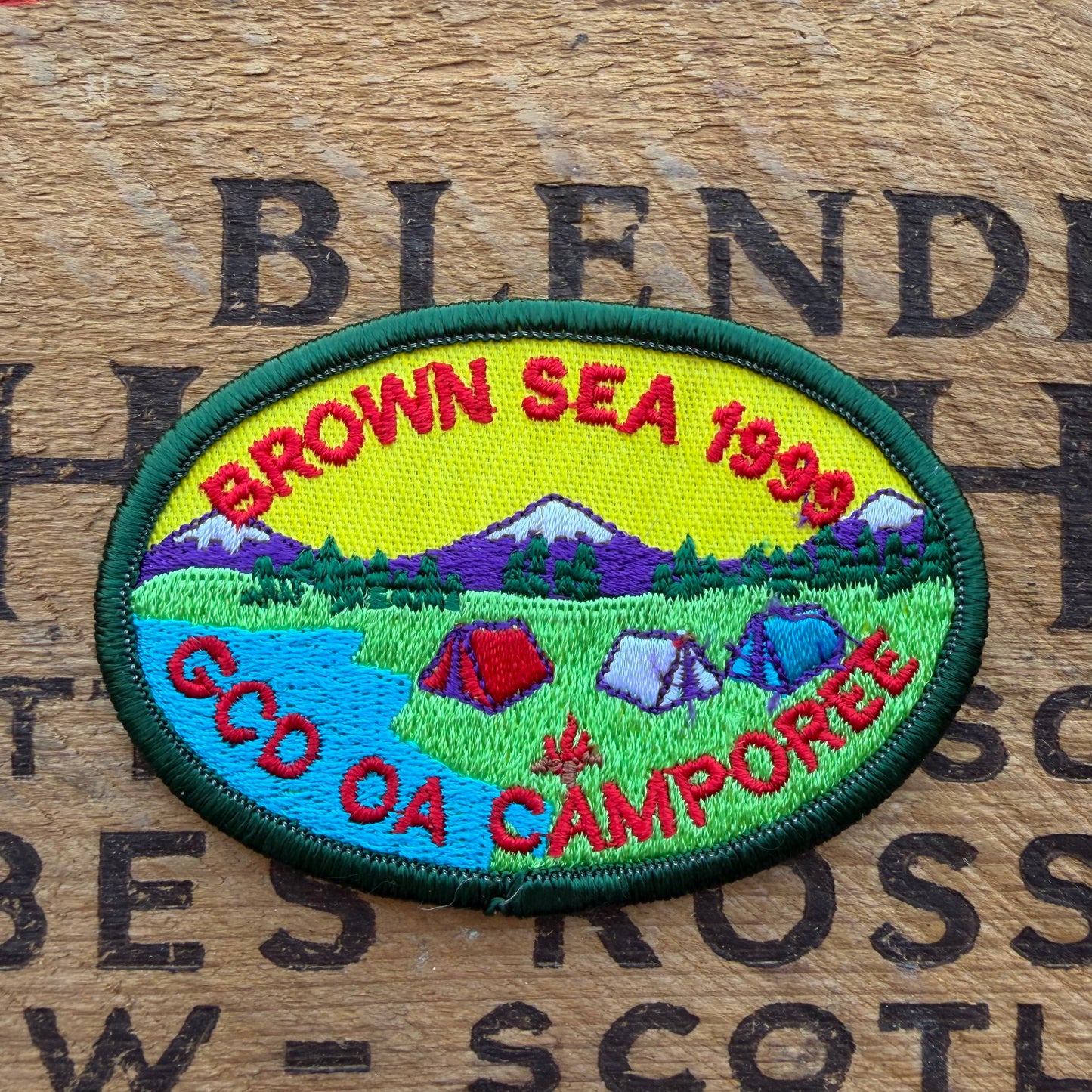 【USA vintage】Girl Scout Patch BROWN SEA 1999