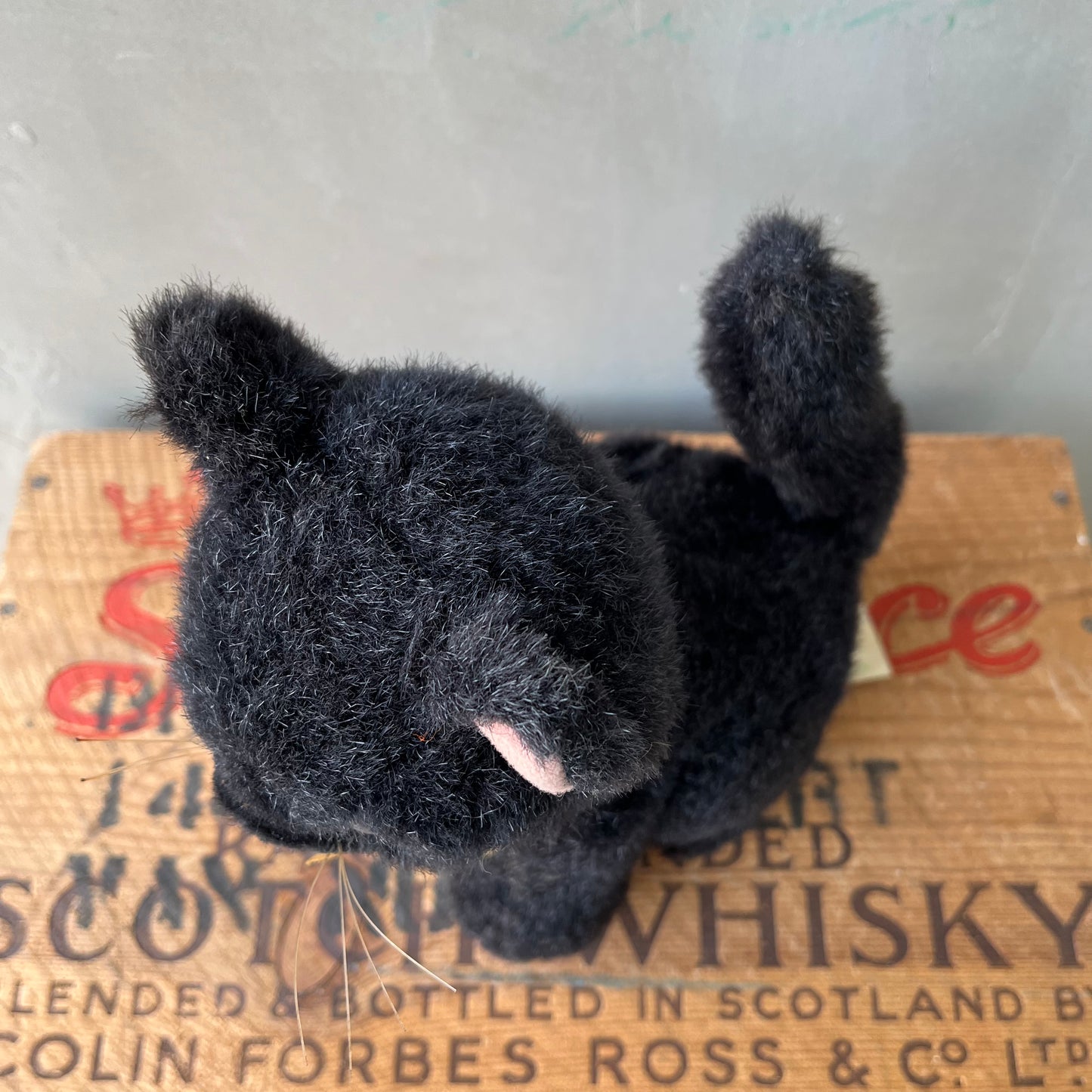 【USA vintage】Black Kitten Plash