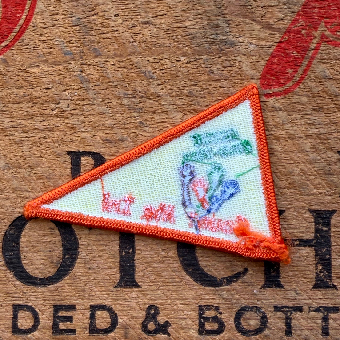 【USA vintage】Girl Scout Count me in ! Patch