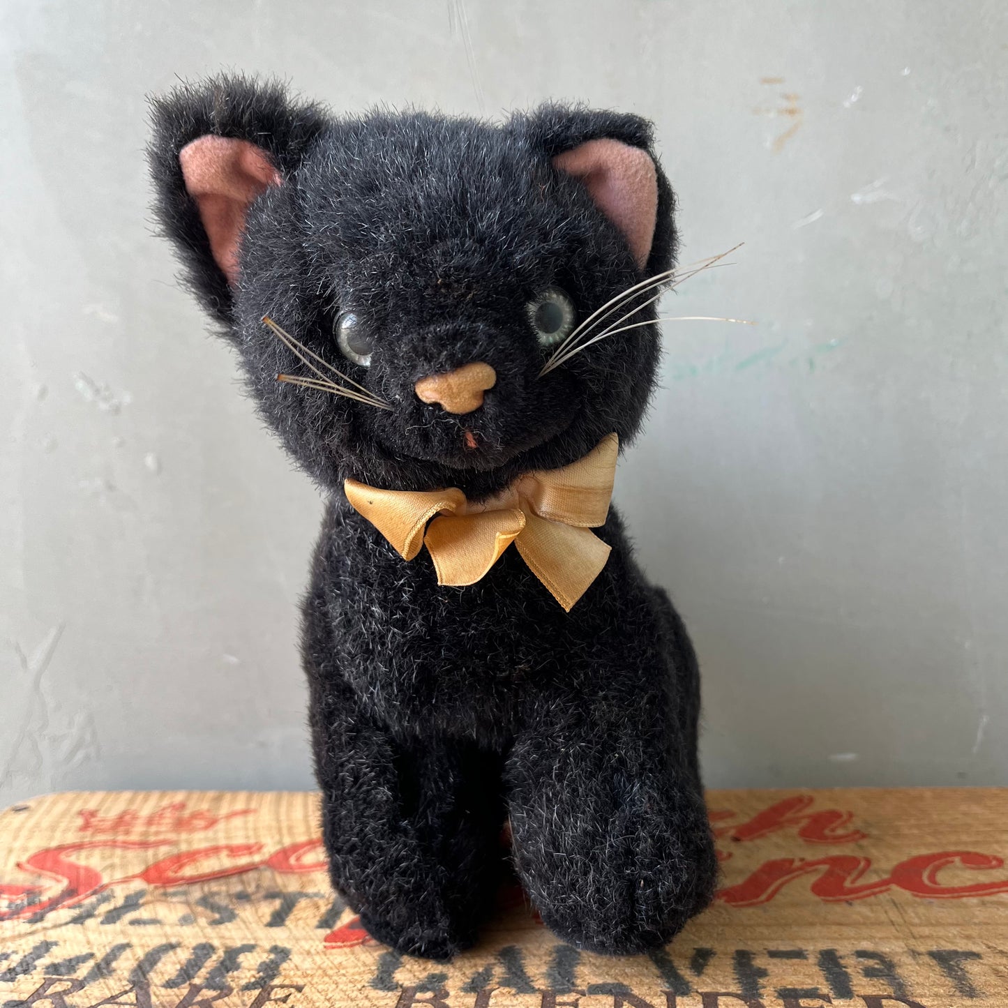 【USA vintage】Black Kitten Plash