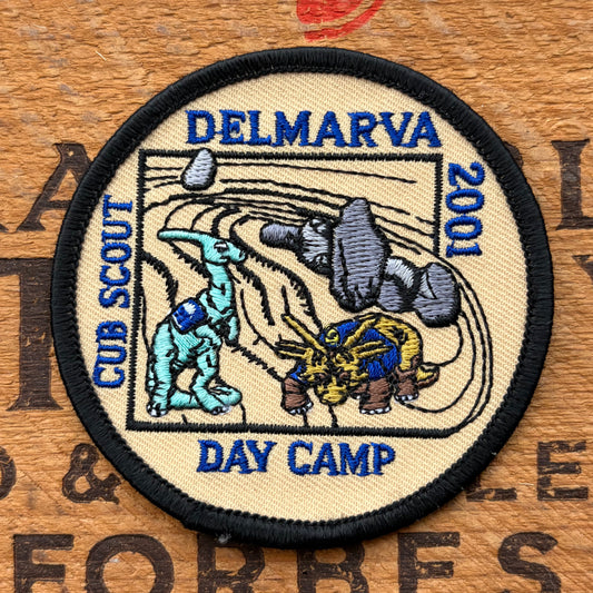 【USA vintage】Boy Scout DELMARVA DAY CAMP Patch