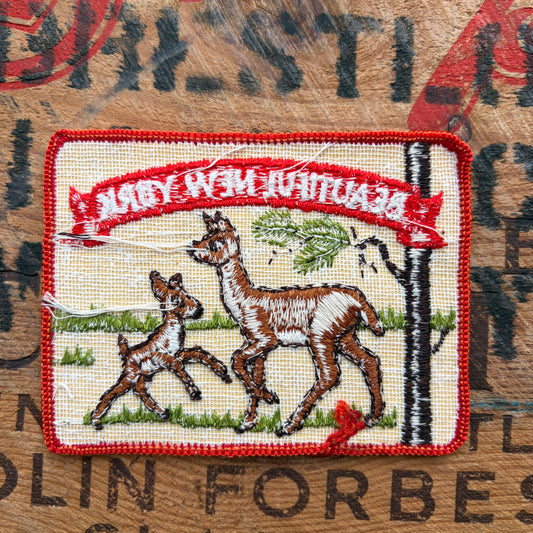 【USA vintage】Beautiful New York Patch