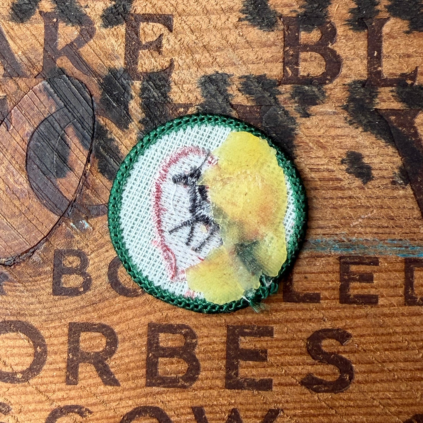 【USA vintage】Girl Scout Horse Lover Patch