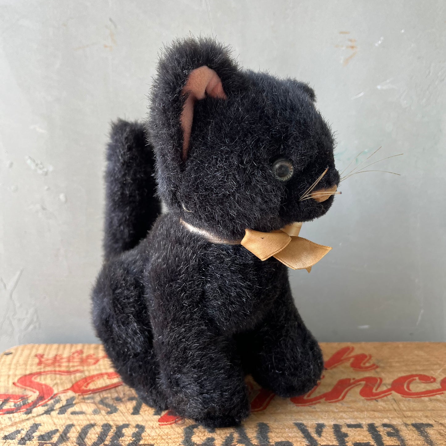 【USA vintage】Black Kitten Plash