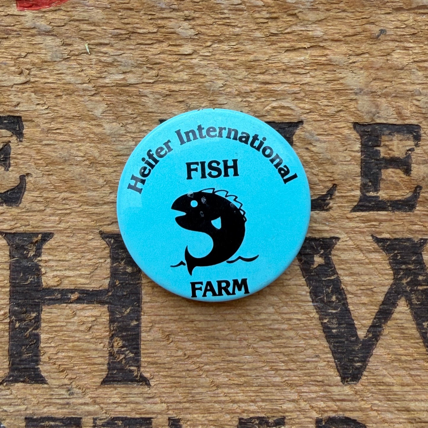 【USA vintage】Heifer International 缶バッジ