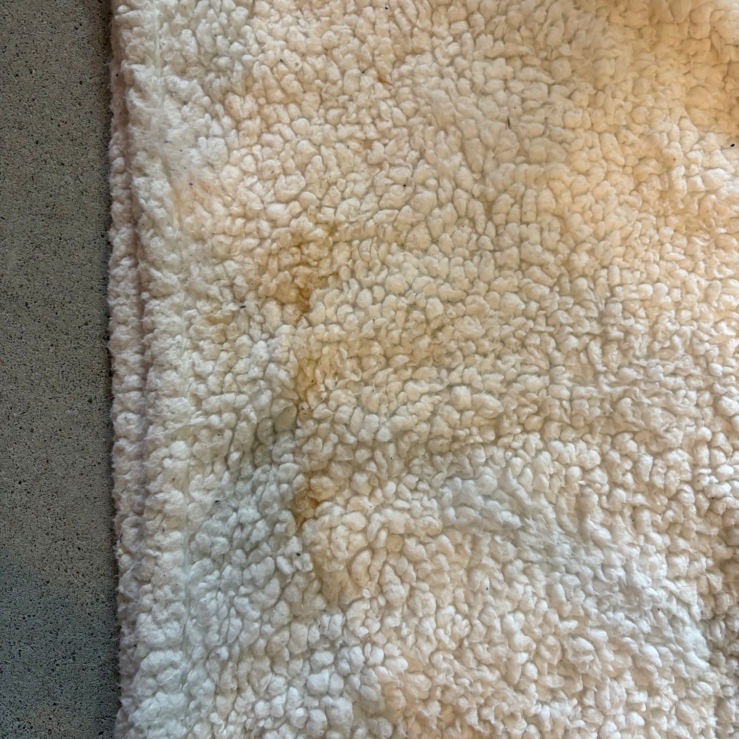 【USA】Plush Throw Blanket Basset Hound