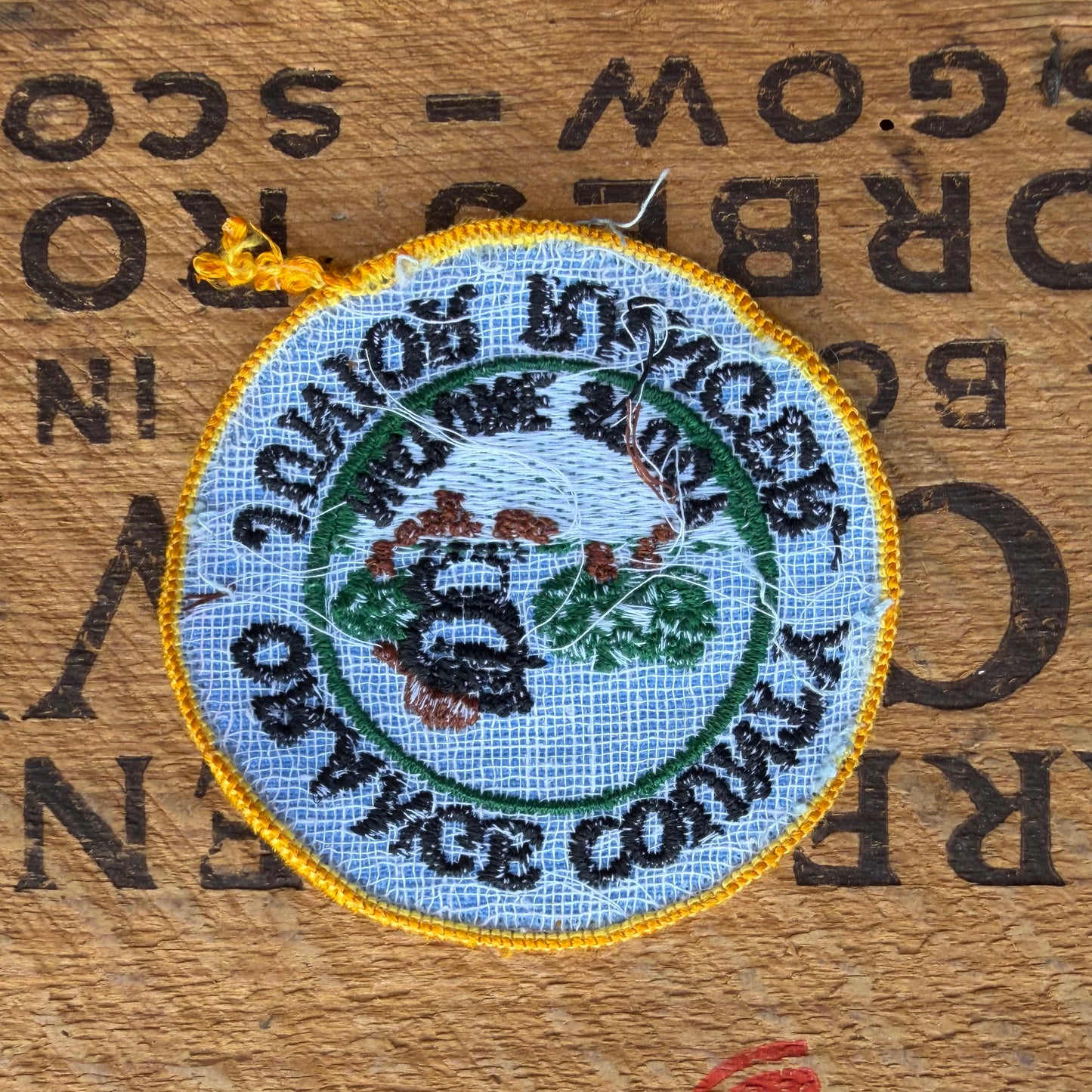 【USA vintage】Boy Scout Patch Junior Ranger
