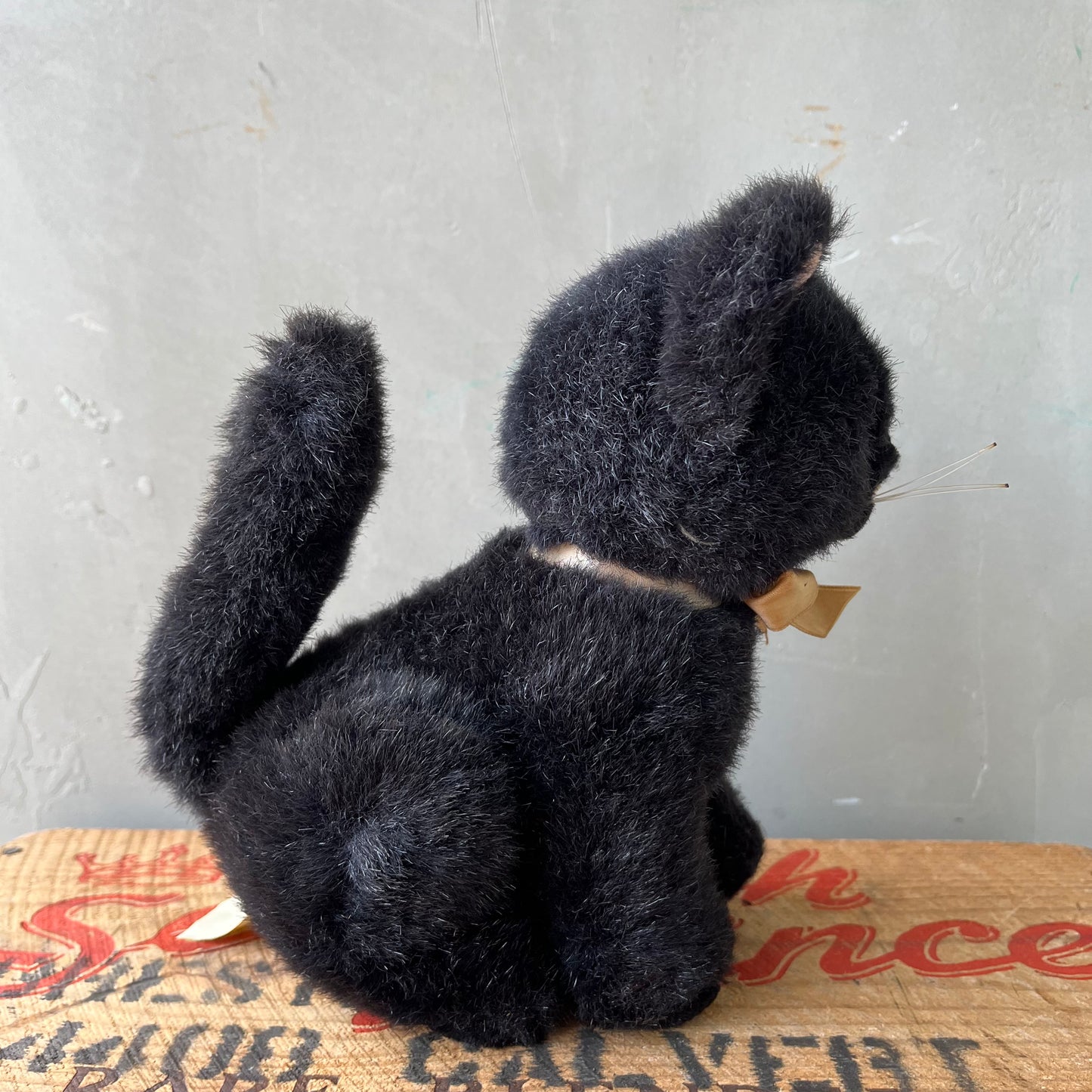 【USA vintage】Black Kitten Plash